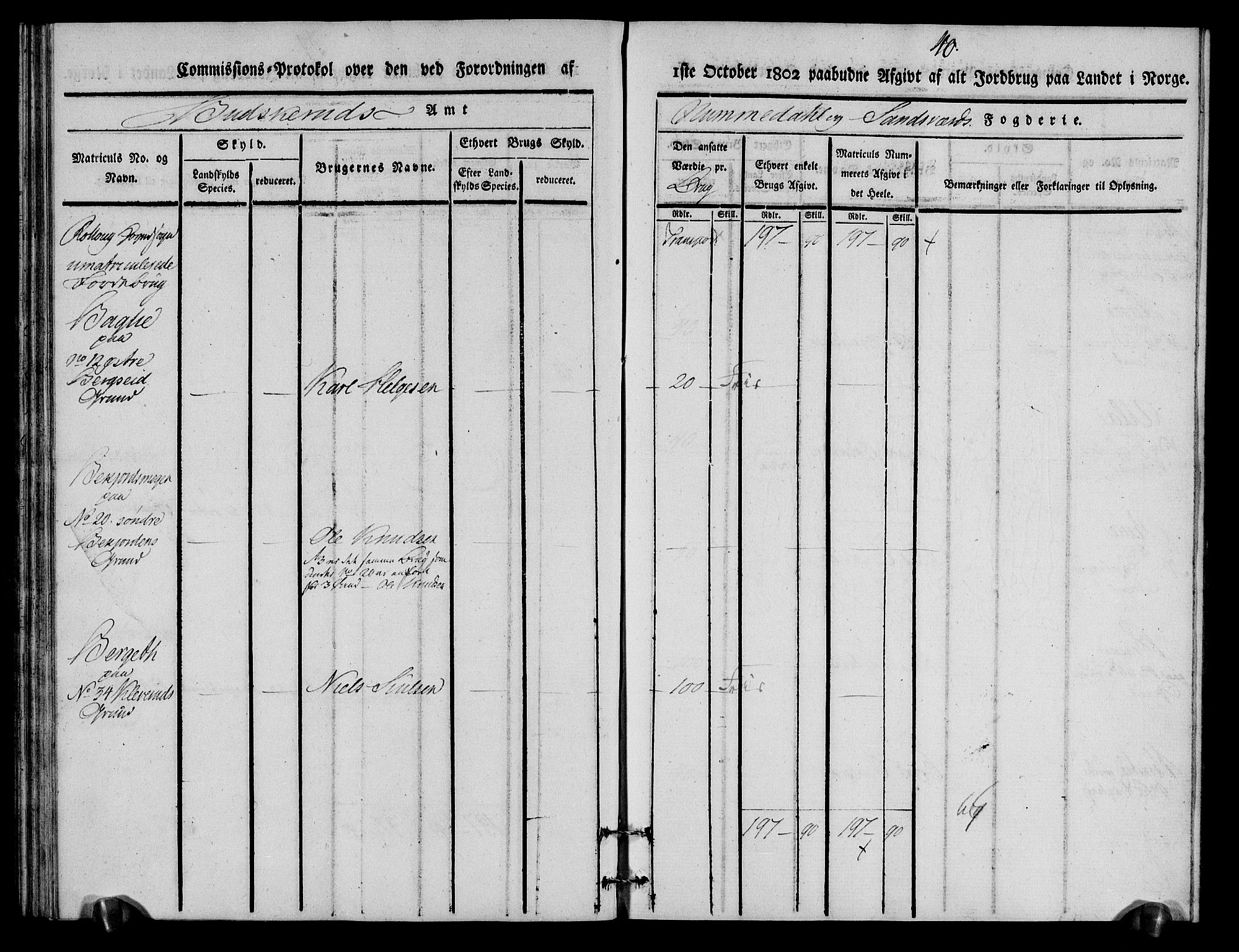 Rentekammeret inntil 1814, Realistisk ordnet avdeling, RA/EA-4070/N/Ne/Nea/L0056a: Numedal og Sandsvær fogderi. Kommisjonsprotokoll for Rollag hovedsogn og Veggli anneks, 1803, p. 41