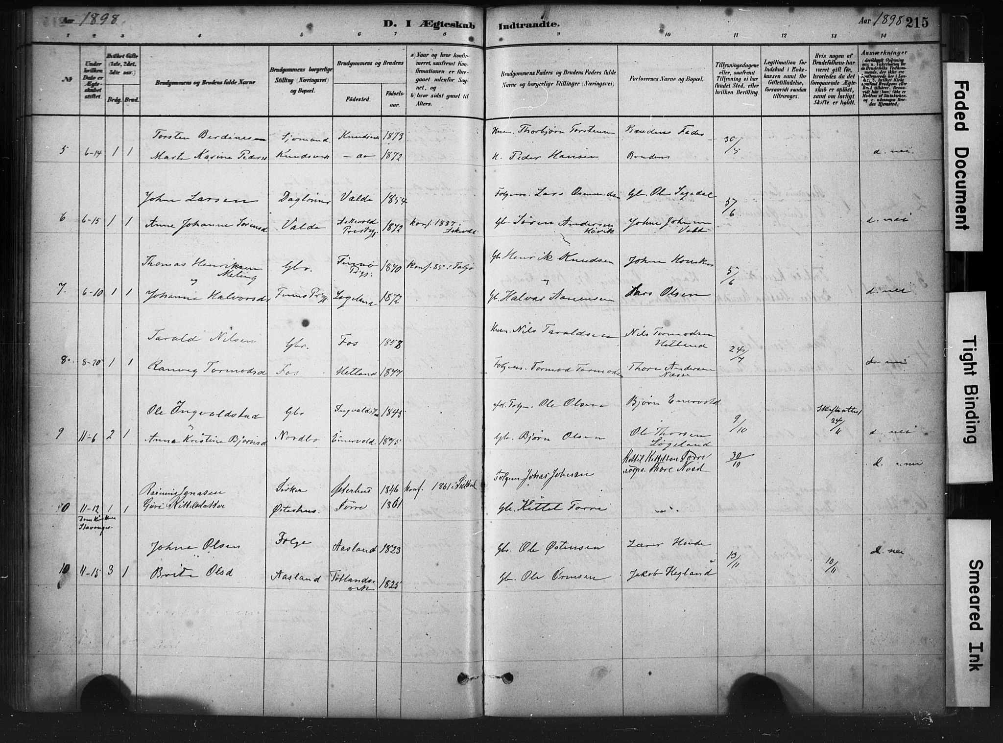 Hjelmeland sokneprestkontor, AV/SAST-A-101843/01/IV/L0014: Parish register (official) no. A 14, 1879-1900, p. 215