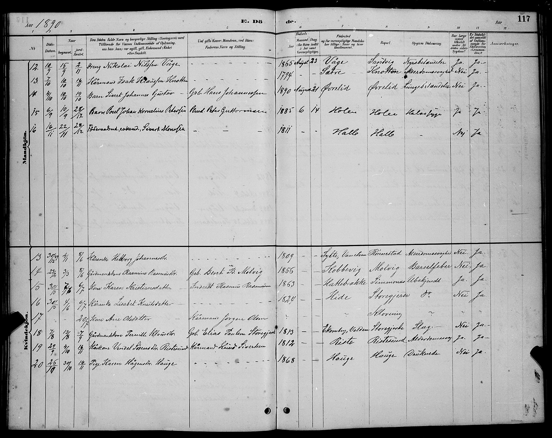 Ministerialprotokoller, klokkerbøker og fødselsregistre - Møre og Romsdal, AV/SAT-A-1454/503/L0048: Parish register (copy) no. 503C03, 1885-1893, p. 117