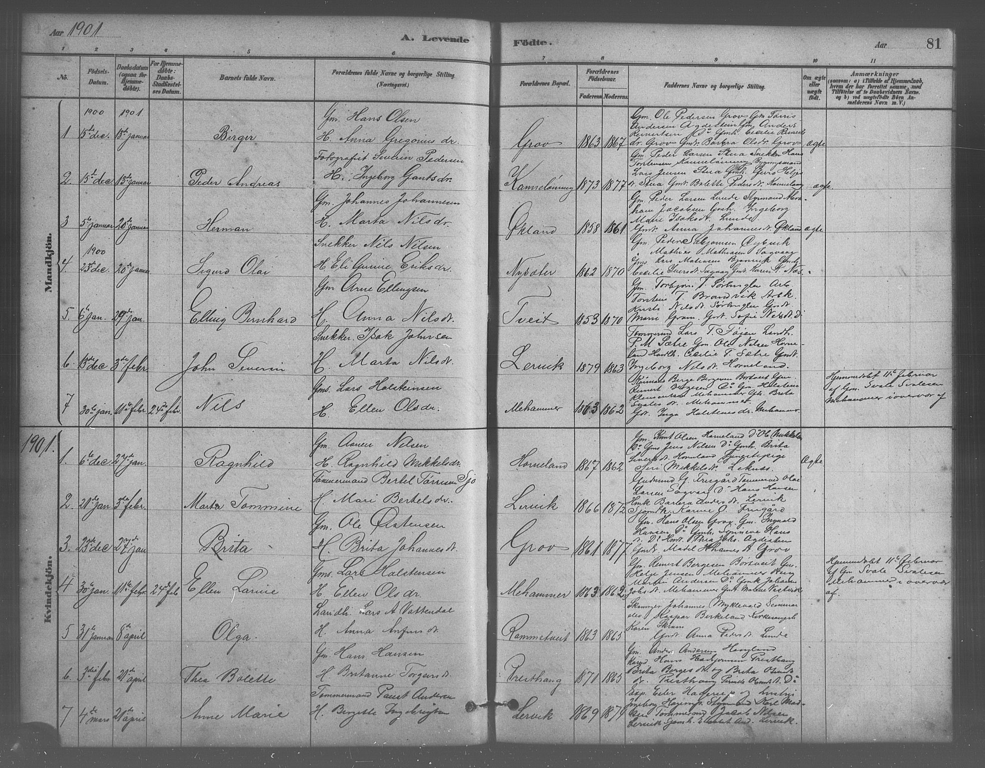 Stord sokneprestembete, SAB/A-78201/H/Hab: Parish register (copy) no. A 2, 1879-1909, p. 81