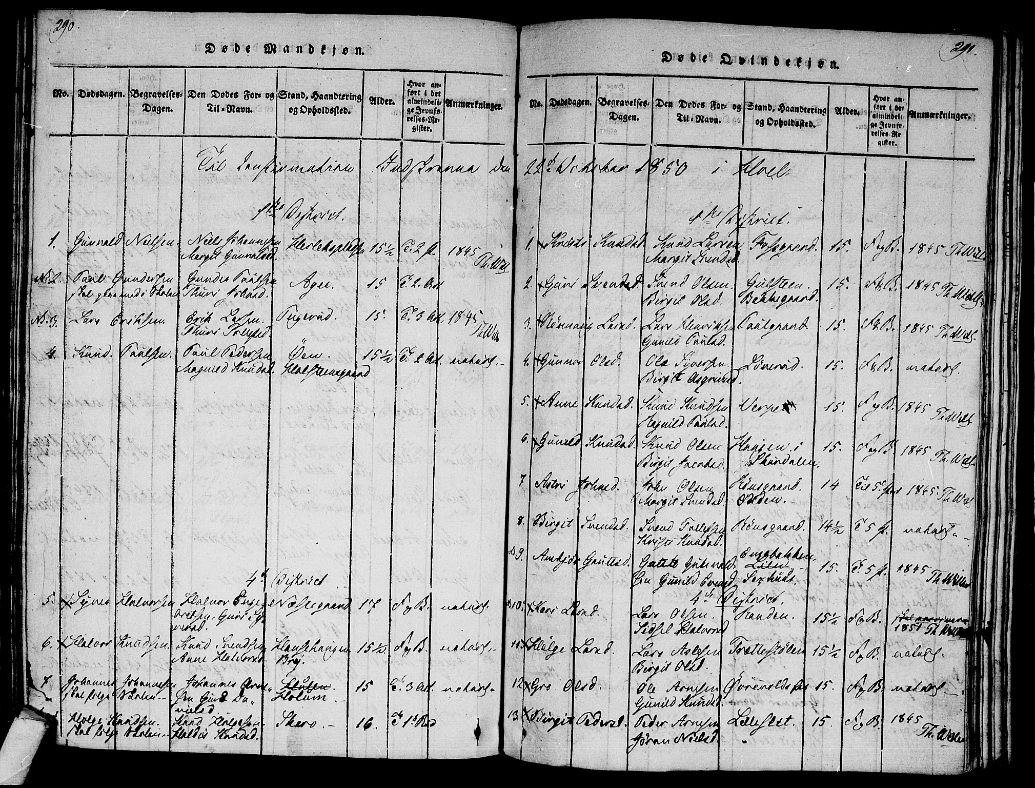 Ål kirkebøker, AV/SAKO-A-249/F/Fa/L0004: Parish register (official) no. I 4, 1815-1825, p. 290-291