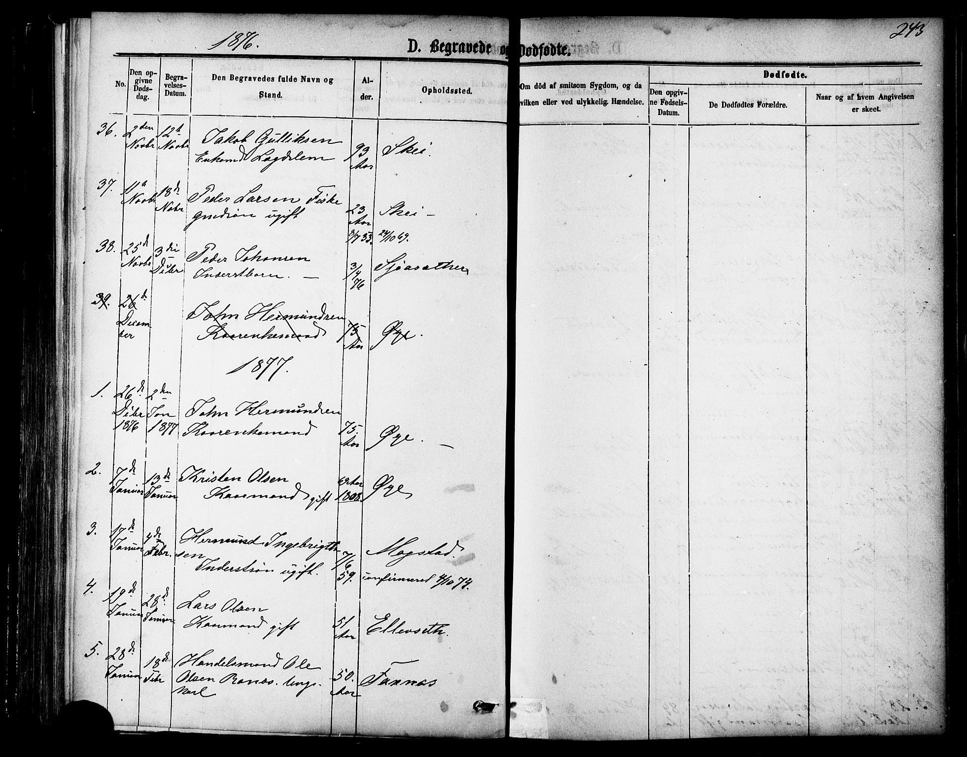 Ministerialprotokoller, klokkerbøker og fødselsregistre - Møre og Romsdal, AV/SAT-A-1454/595/L1046: Parish register (official) no. 595A08, 1874-1884, p. 243