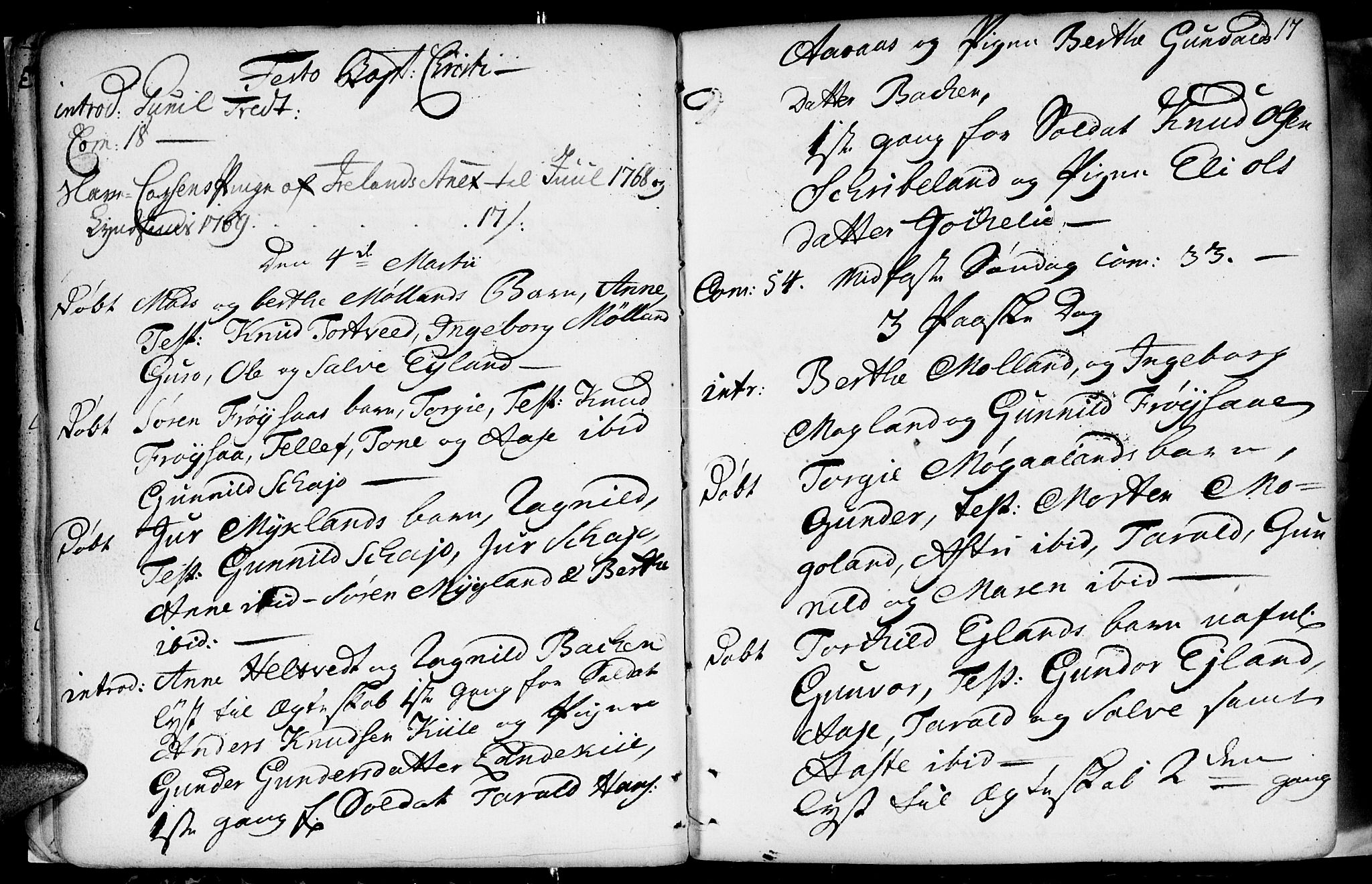 Evje sokneprestkontor, SAK/1111-0008/F/Fa/Fac/L0002: Parish register (official) no. A 2, 1765-1816, p. 17