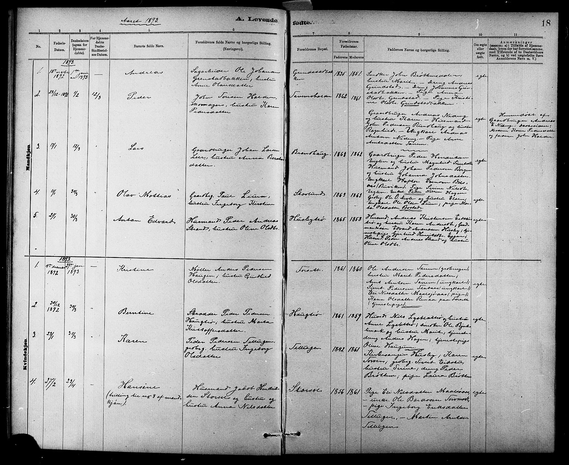 Ministerialprotokoller, klokkerbøker og fødselsregistre - Sør-Trøndelag, SAT/A-1456/618/L0452: Parish register (copy) no. 618C03, 1884-1906, p. 18
