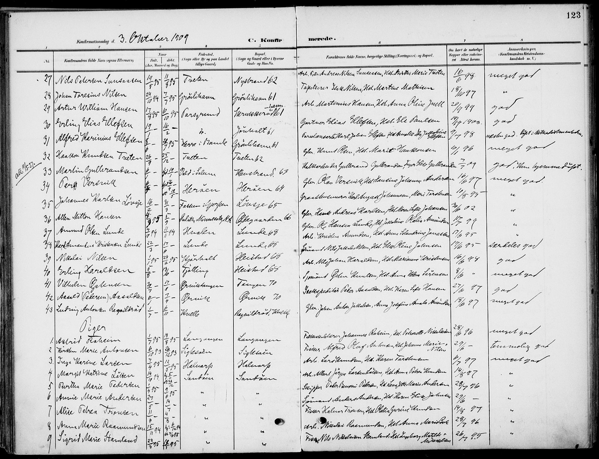 Eidanger kirkebøker, AV/SAKO-A-261/F/Fa/L0013: Parish register (official) no. 13, 1900-1913, p. 123