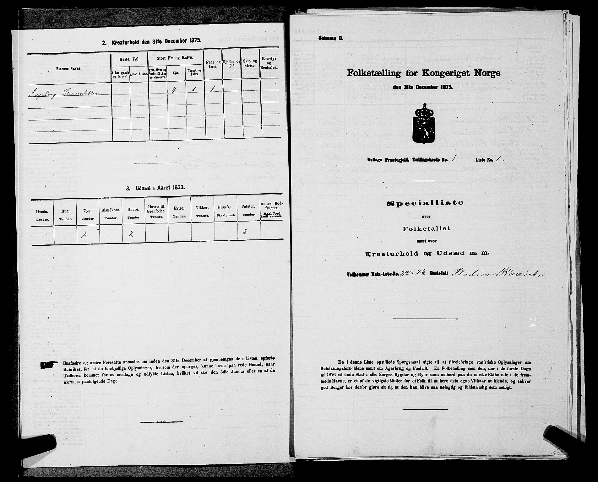 SAKO, 1875 census for 0632P Rollag, 1875, p. 53