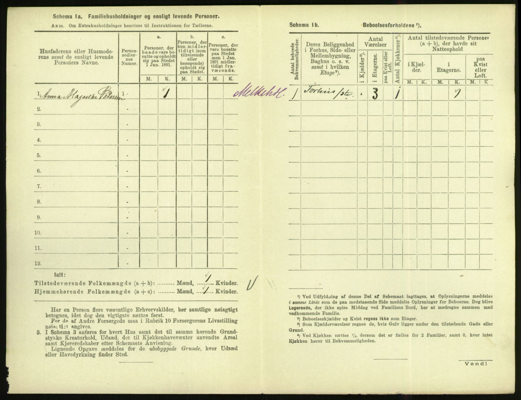 RA, 1891 census for 1002 Mandal, 1891, p. 488