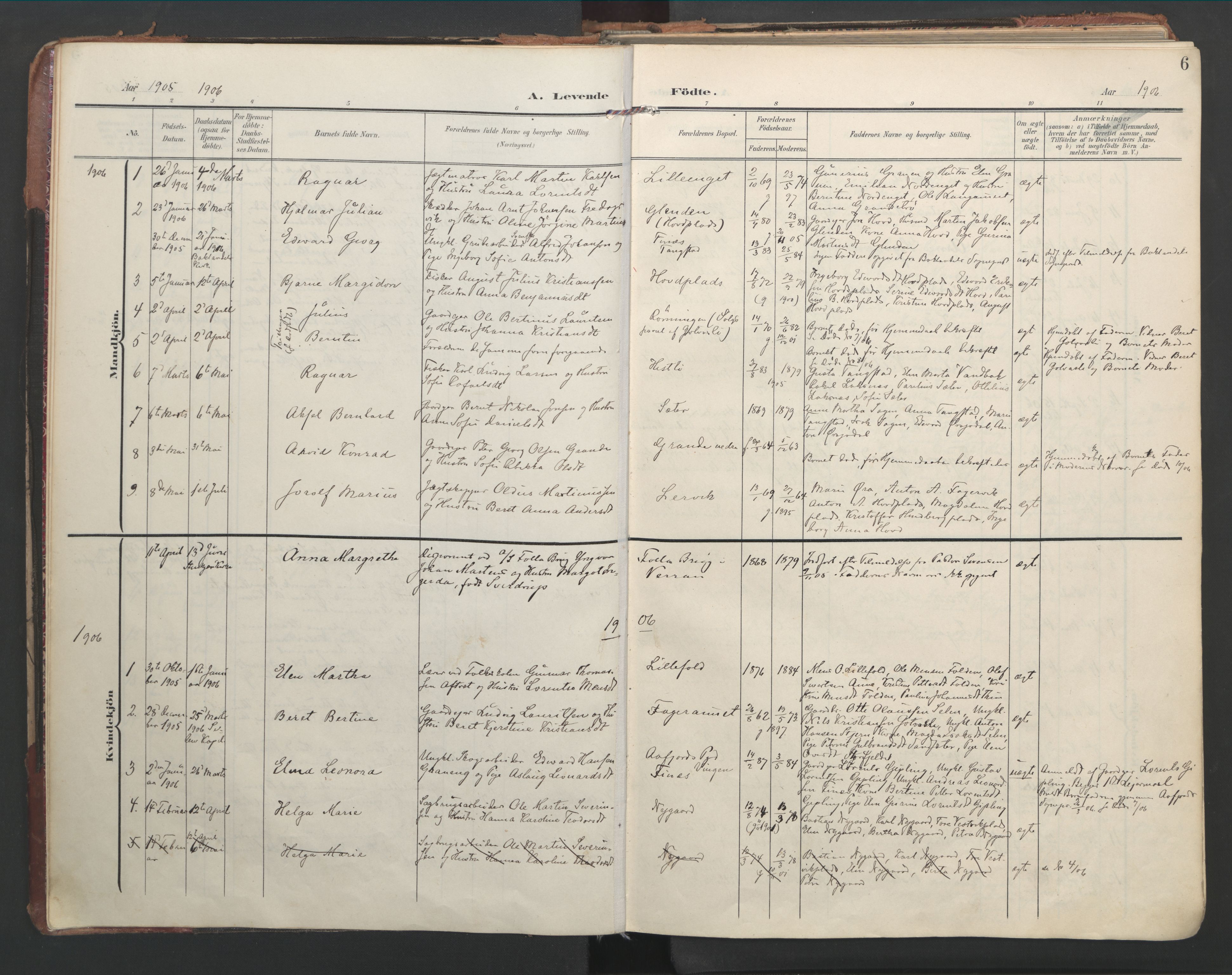 Ministerialprotokoller, klokkerbøker og fødselsregistre - Nord-Trøndelag, SAT/A-1458/744/L0421: Parish register (official) no. 744A05, 1905-1930, p. 6