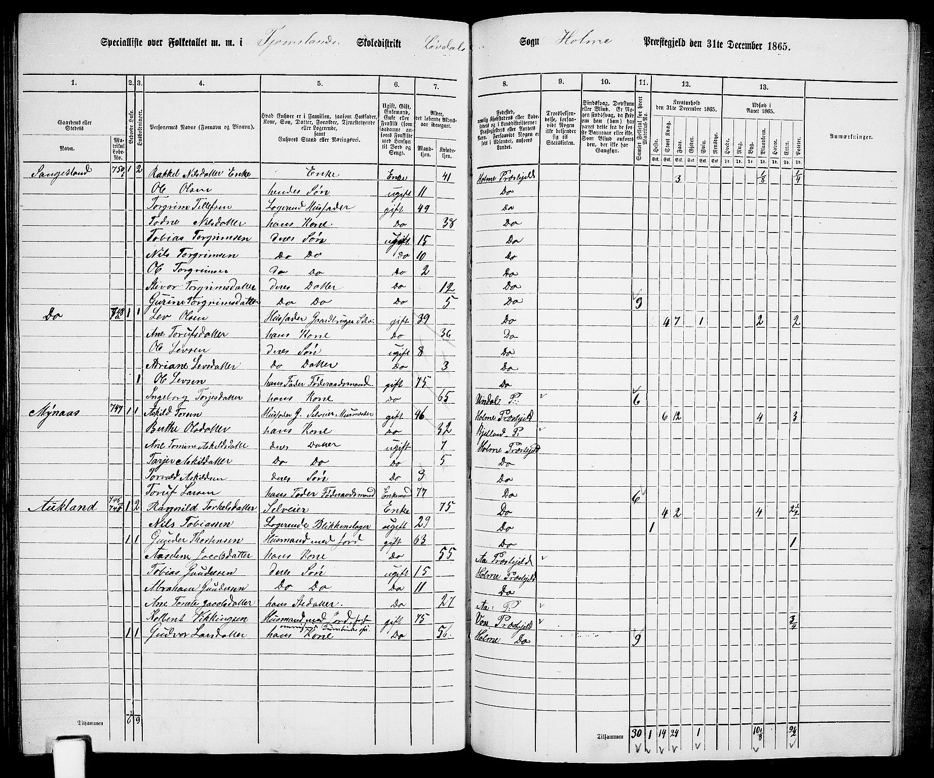 RA, 1865 census for Holum, 1865, p. 156