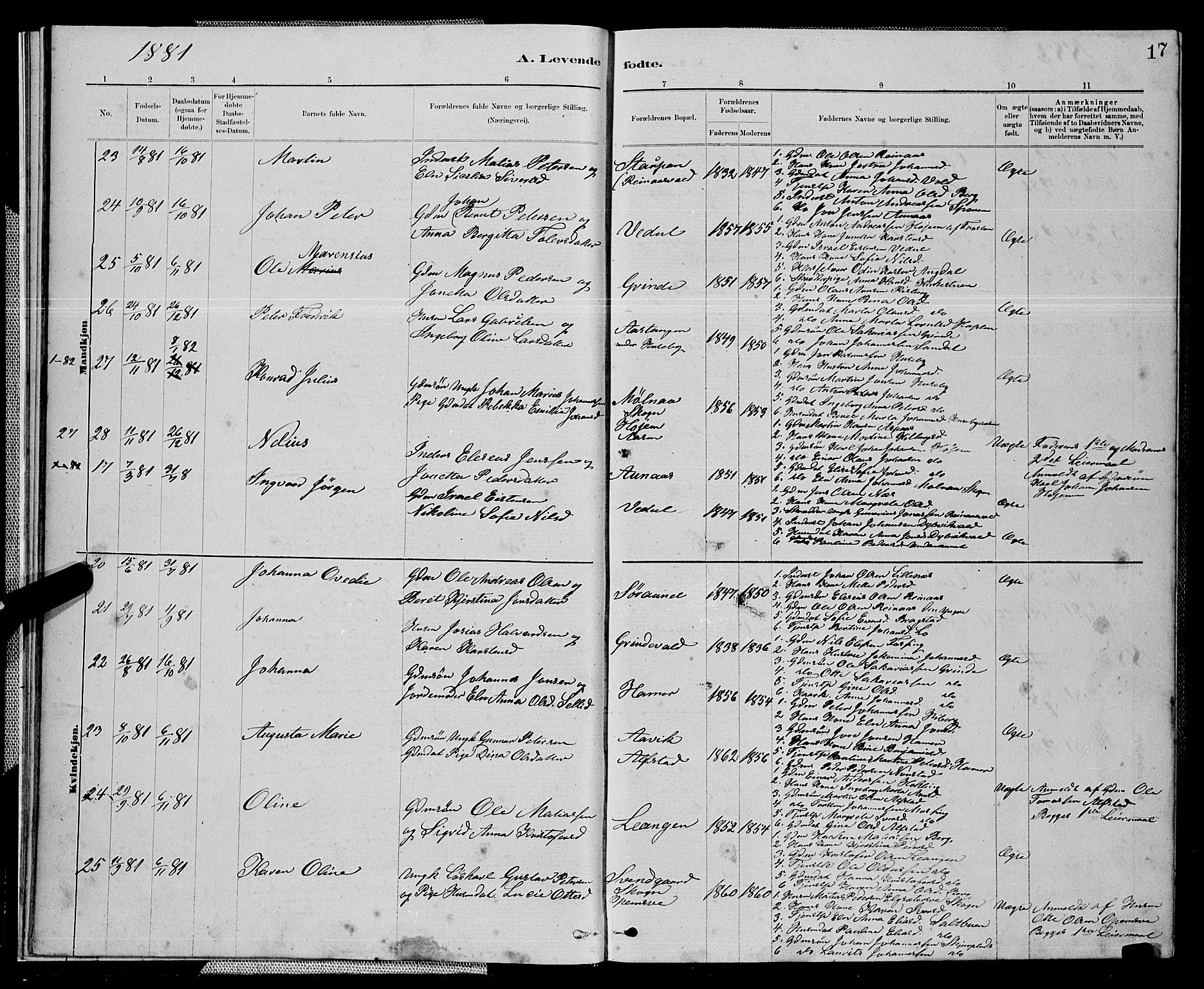 Ministerialprotokoller, klokkerbøker og fødselsregistre - Nord-Trøndelag, SAT/A-1458/714/L0134: Parish register (copy) no. 714C03, 1878-1898, p. 17