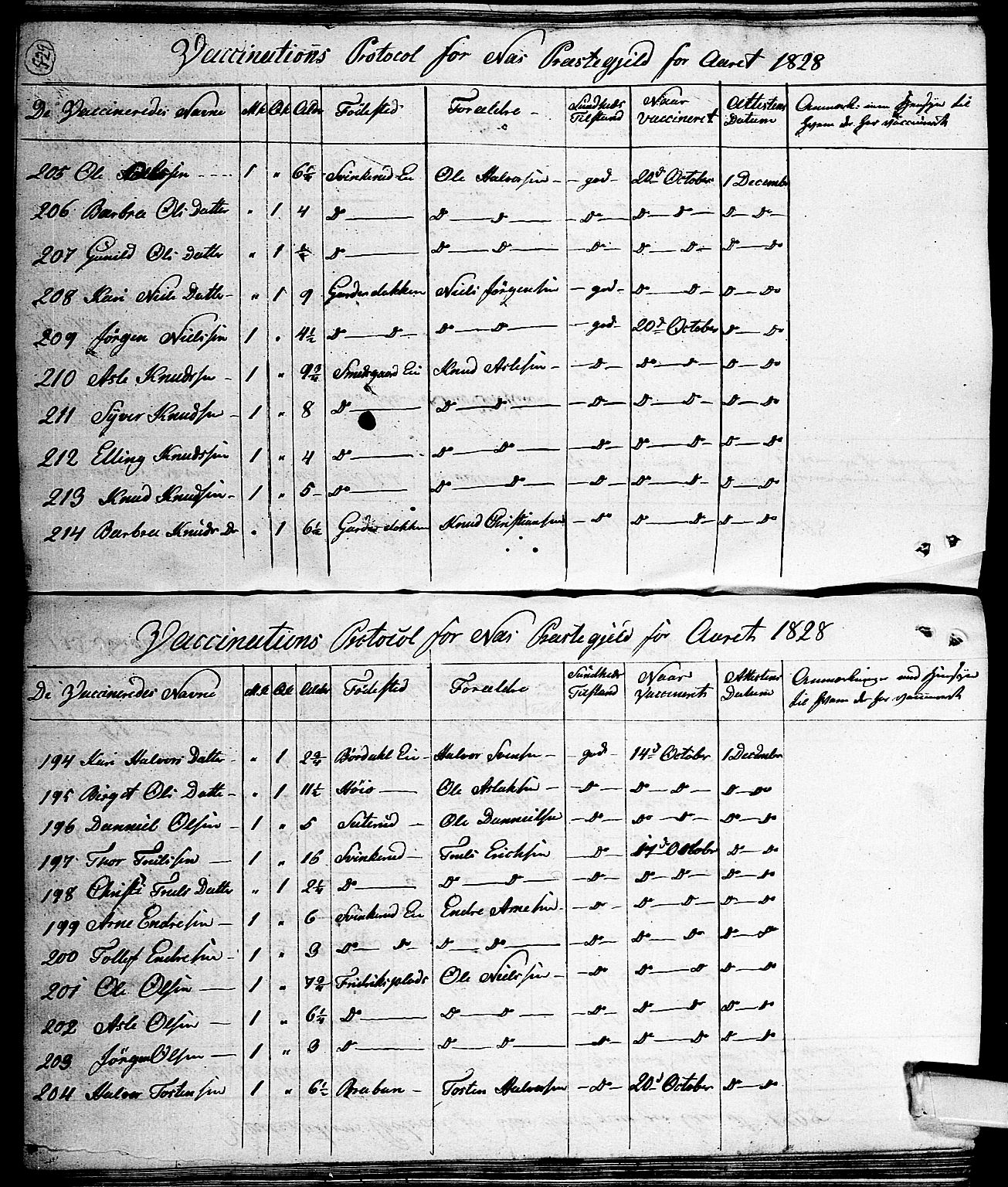 Nes kirkebøker, SAKO/A-236/F/Fa/L0006: Parish register (official) no. 6, 1808-1814, p. 528-529