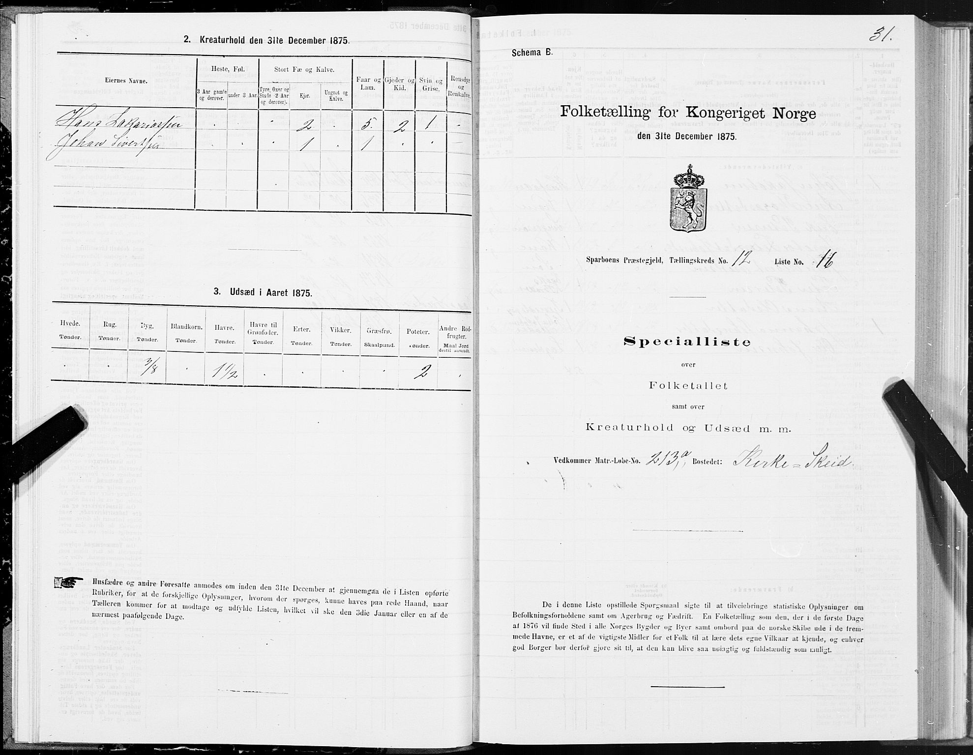 SAT, 1875 census for 1731P Sparbu, 1875, p. 5031