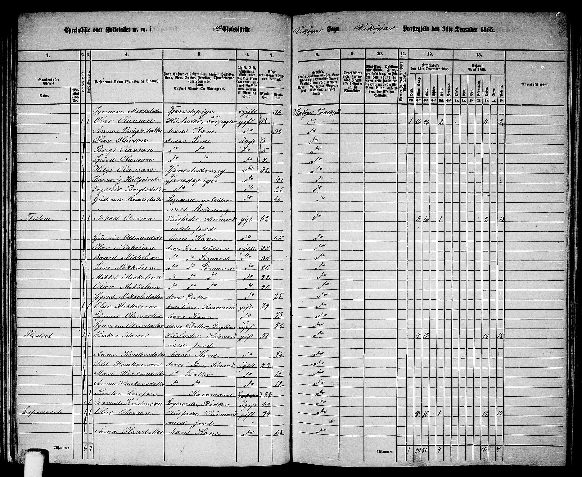 RA, 1865 census for Vikør, 1865, p. 14