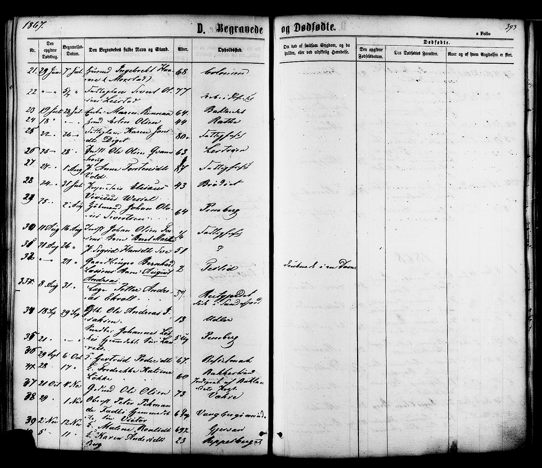 Ministerialprotokoller, klokkerbøker og fødselsregistre - Sør-Trøndelag, SAT/A-1456/606/L0293: Parish register (official) no. 606A08, 1866-1877, p. 393