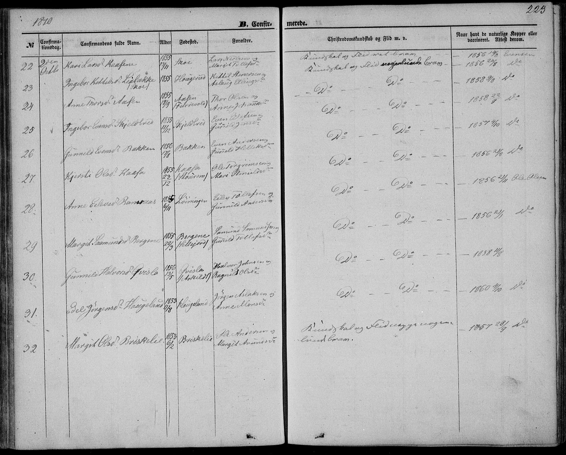 Bø kirkebøker, SAKO/A-257/F/Fa/L0009: Parish register (official) no. 9, 1862-1879, p. 223