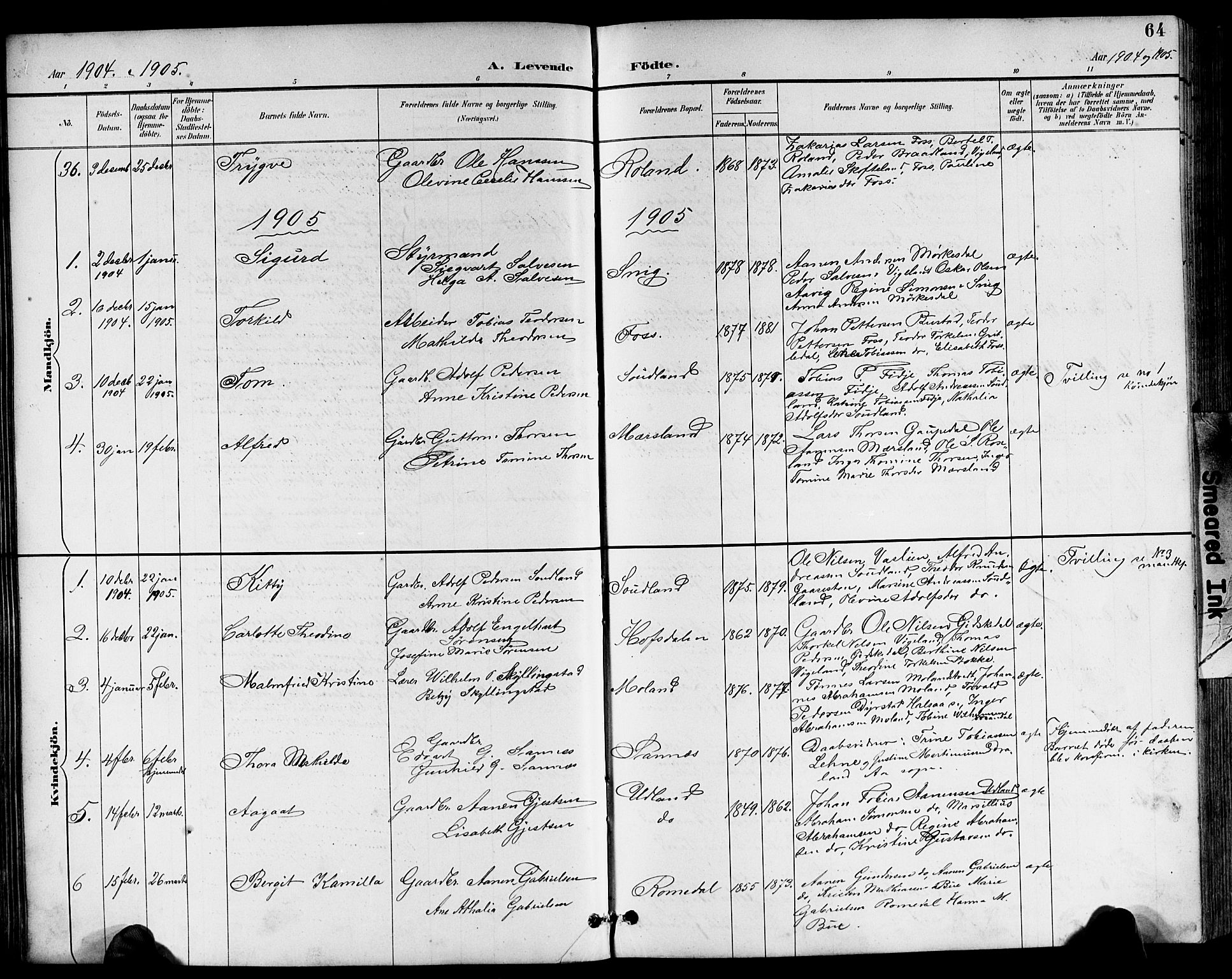 Sør-Audnedal sokneprestkontor, AV/SAK-1111-0039/F/Fb/Fbb/L0006: Parish register (copy) no. B 6, 1893-1915, p. 64