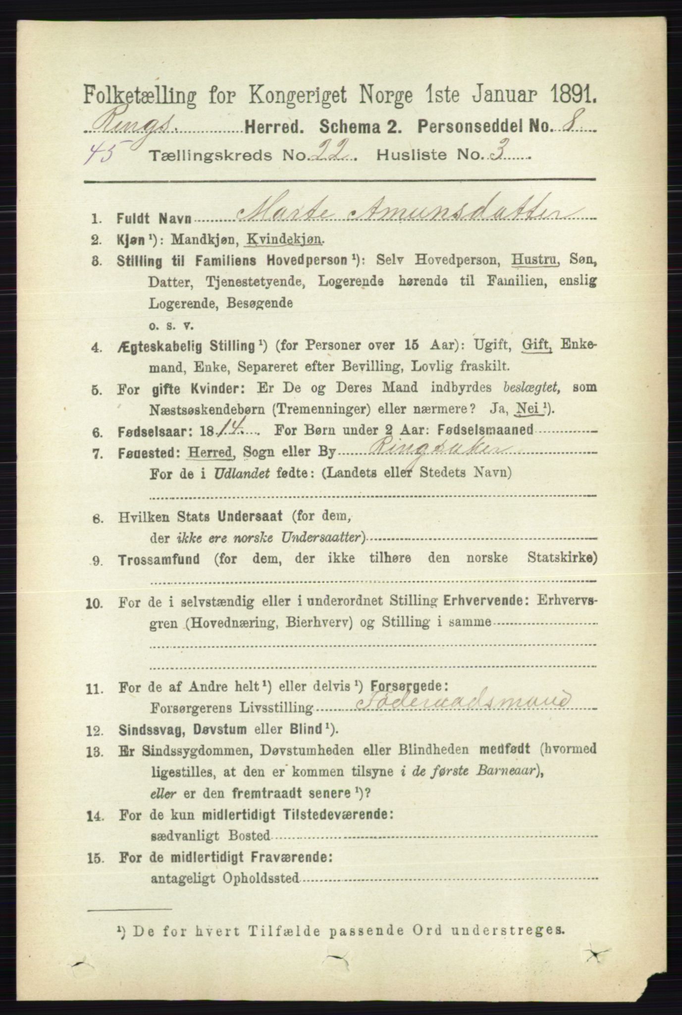 RA, 1891 census for 0412 Ringsaker, 1891, p. 12390