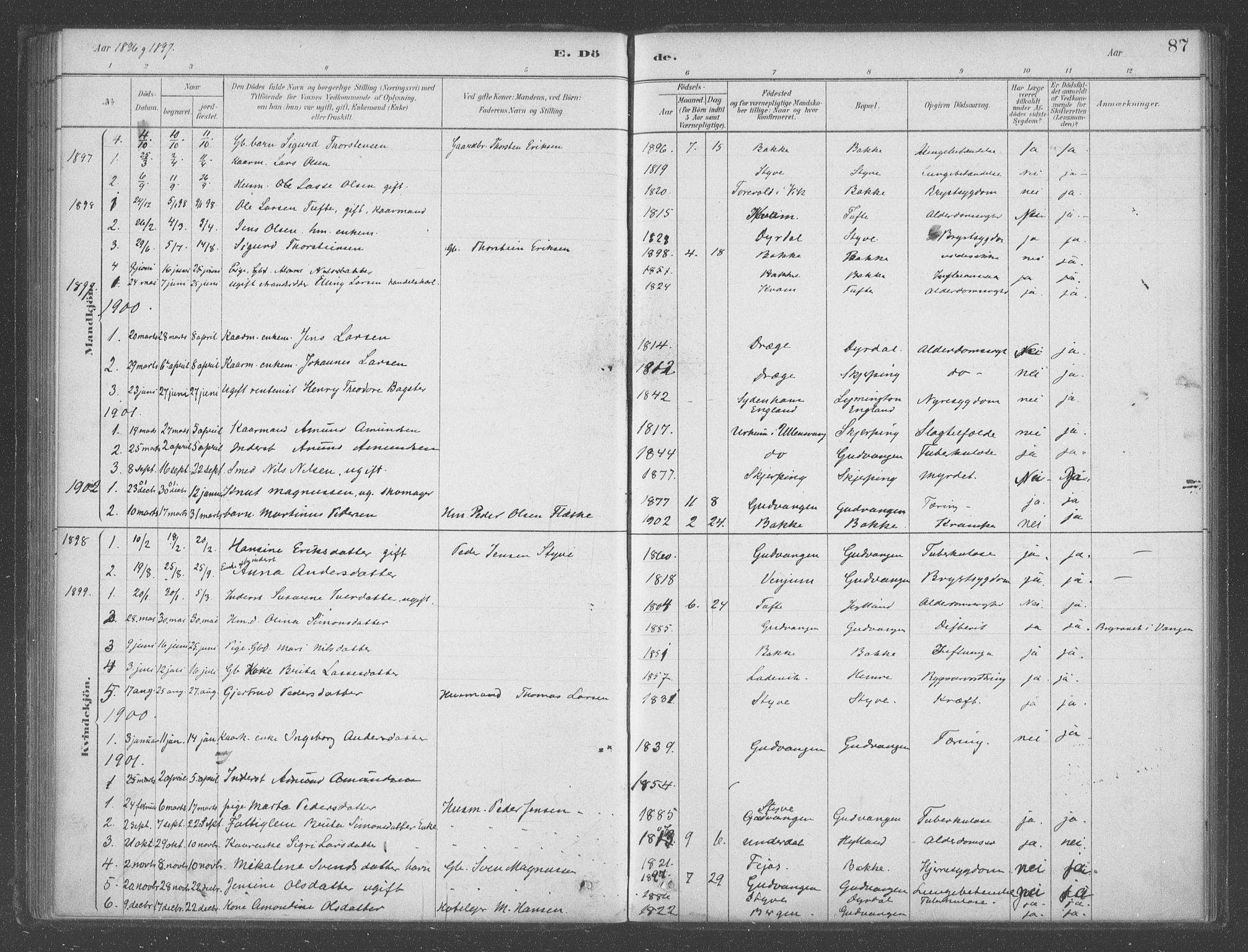 Aurland sokneprestembete, SAB/A-99937/H/Ha/Had/L0001: Parish register (official) no. D  1, 1880-1903, p. 87