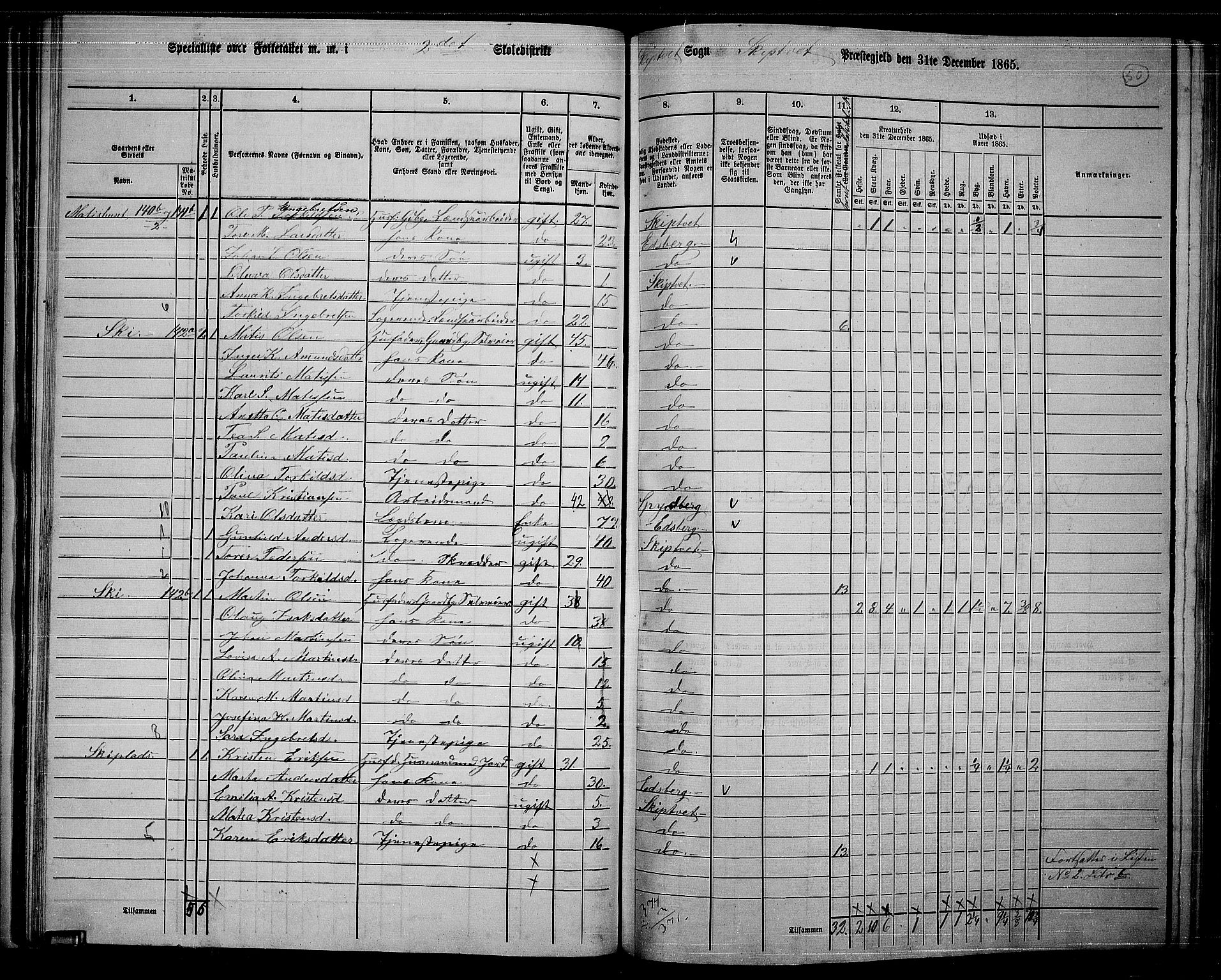 RA, 1865 census for Skiptvet, 1865, p. 43