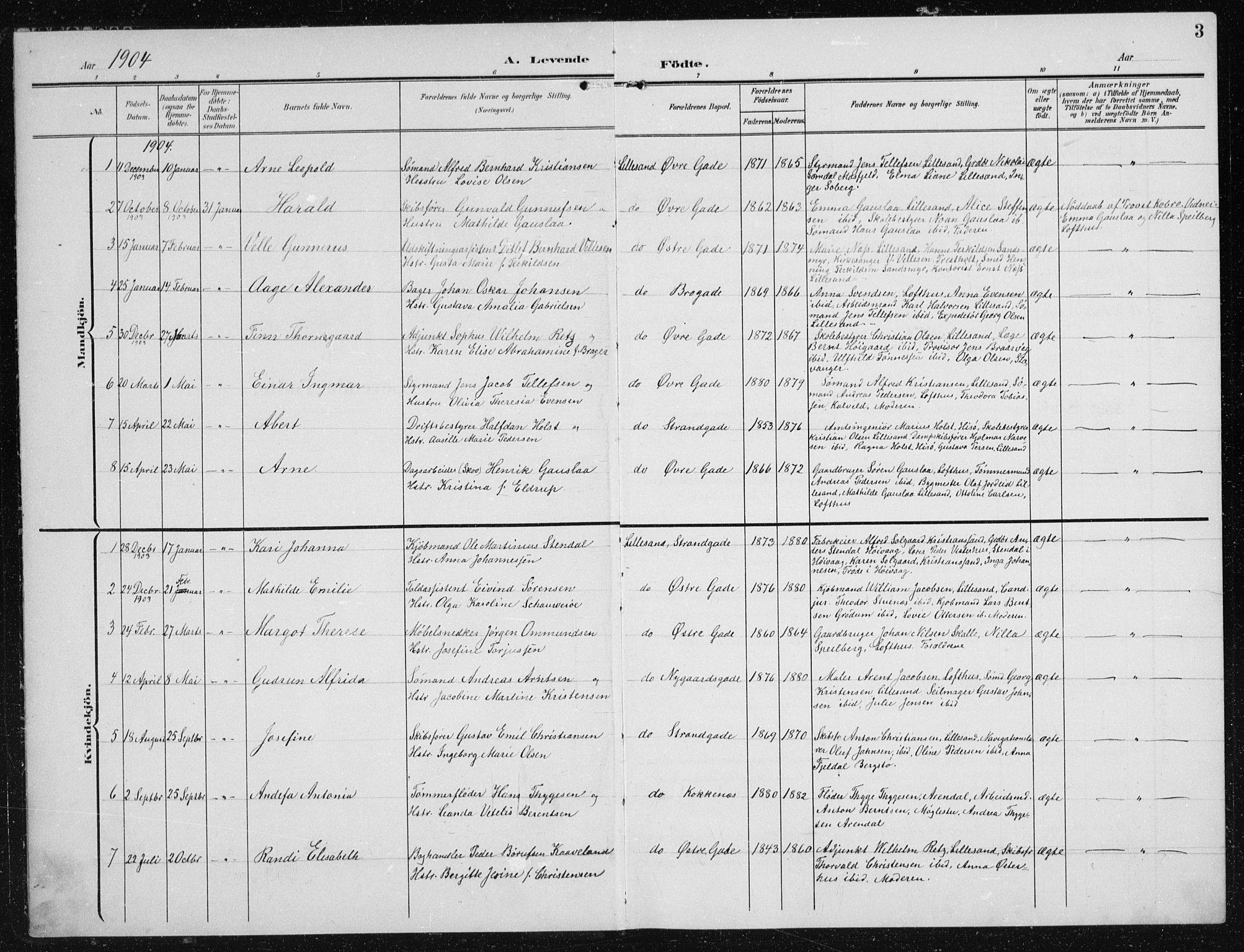 Vestre Moland sokneprestkontor, AV/SAK-1111-0046/F/Fb/Fba/L0002: Parish register (copy) no. B 2, 1904-1934, p. 3