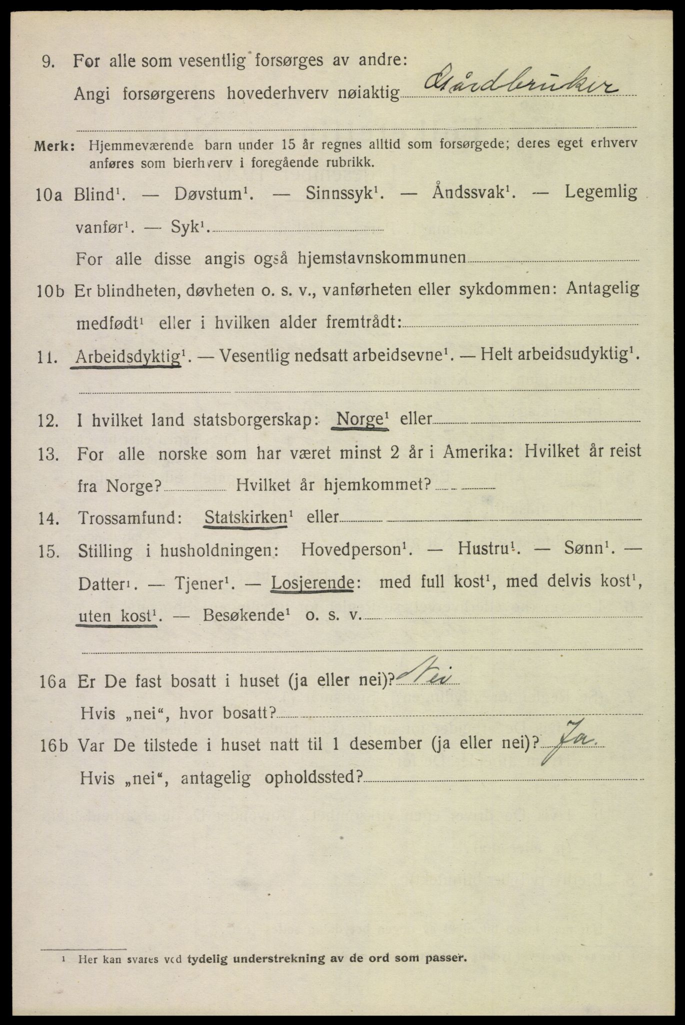 SAH, 1920 census for Åsnes, 1920, p. 8251