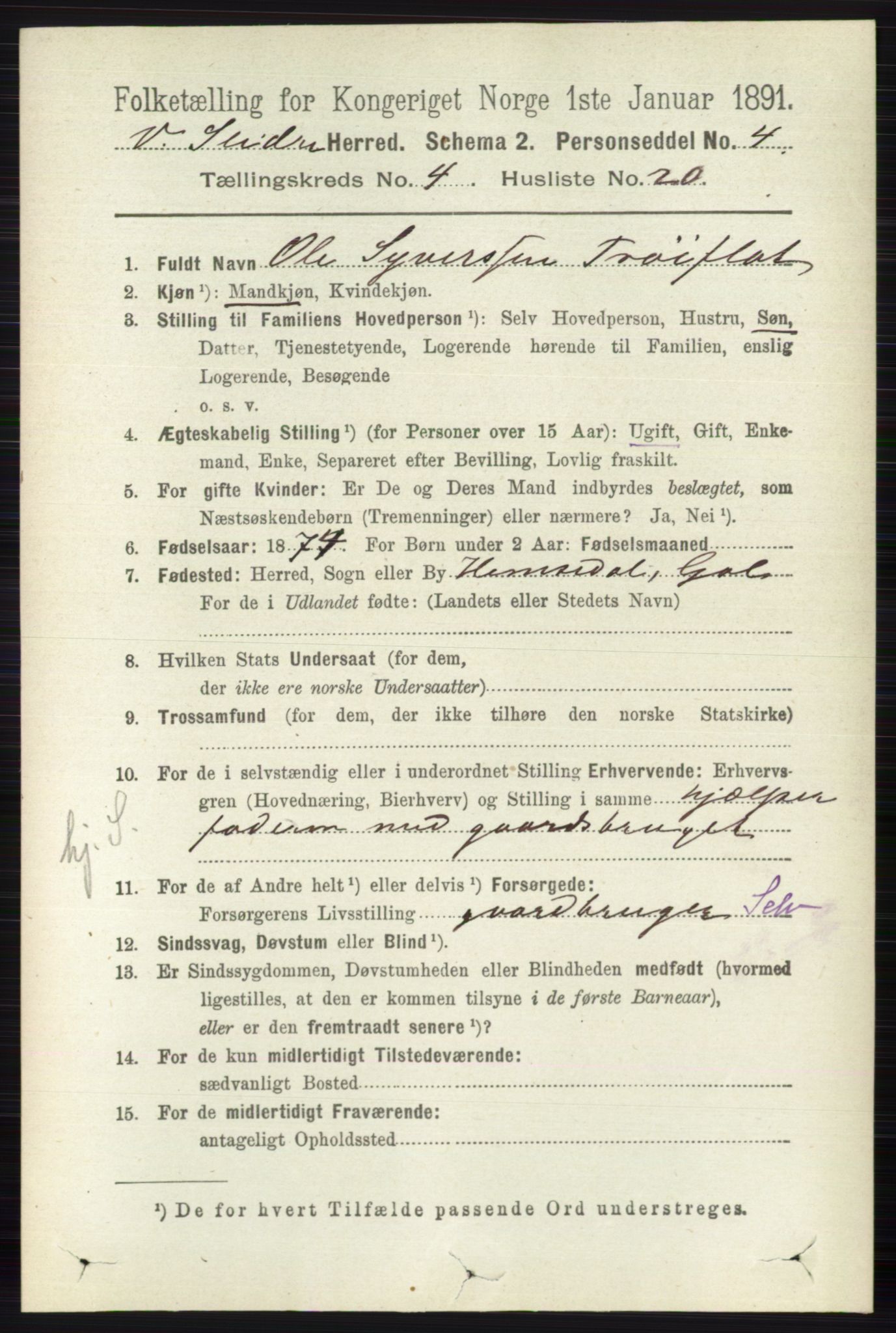 RA, 1891 census for 0543 Vestre Slidre, 1891, p. 1363