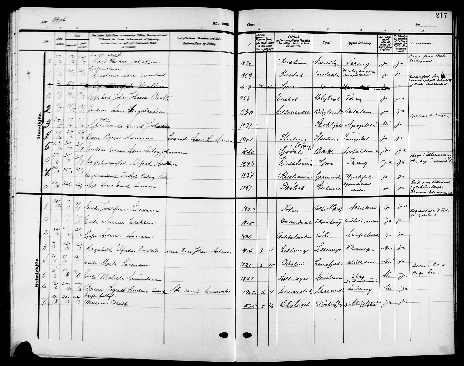 Nesodden prestekontor Kirkebøker, SAO/A-10013/G/Ga/L0002: Parish register (copy) no. I 2, 1905-1924, p. 217