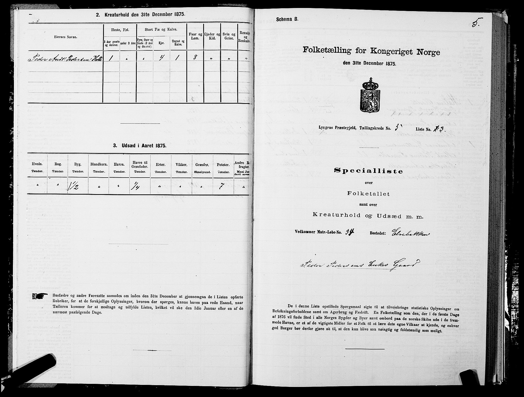 SATØ, 1875 census for 1938P Lyngen, 1875, p. 5005