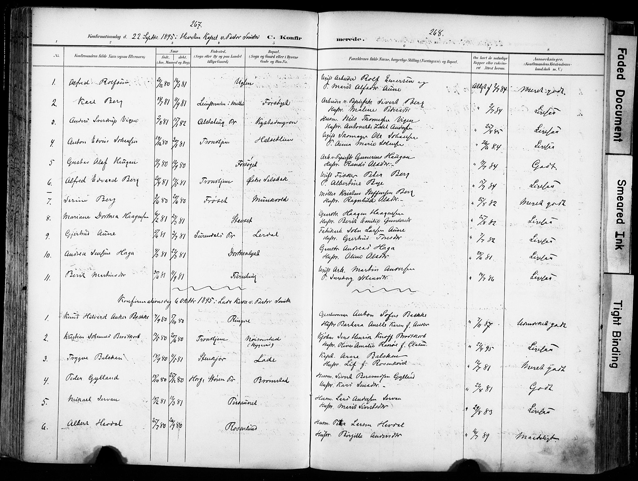 Ministerialprotokoller, klokkerbøker og fødselsregistre - Sør-Trøndelag, SAT/A-1456/606/L0301: Parish register (official) no. 606A16, 1894-1907, p. 267-268