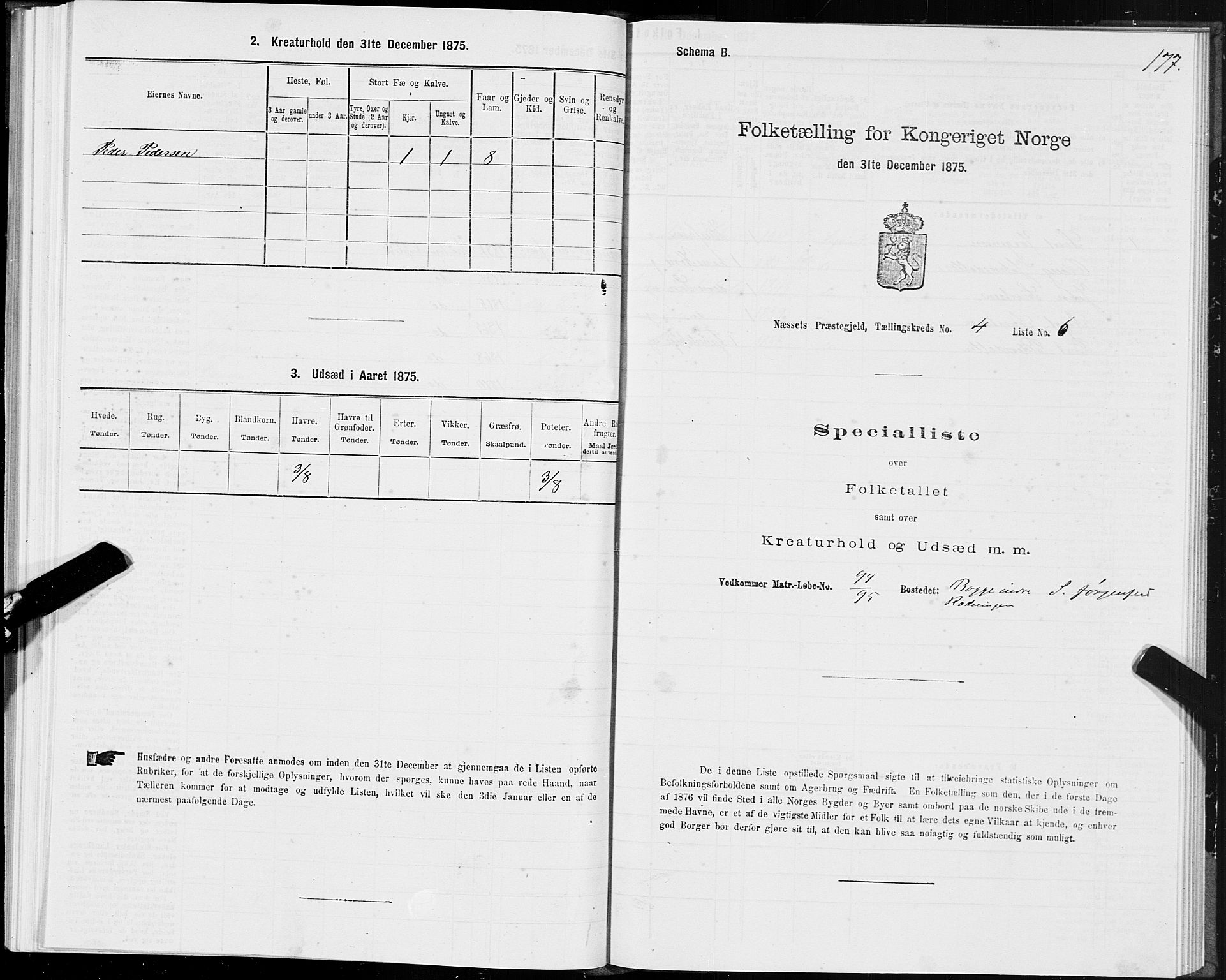 SAT, 1875 census for 1543P Nesset, 1875, p. 2177