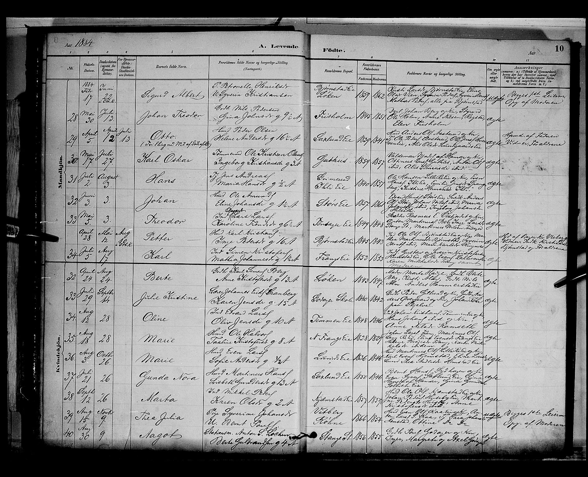 Stange prestekontor, AV/SAH-PREST-002/L/L0009: Parish register (copy) no. 9, 1883-1899, p. 10