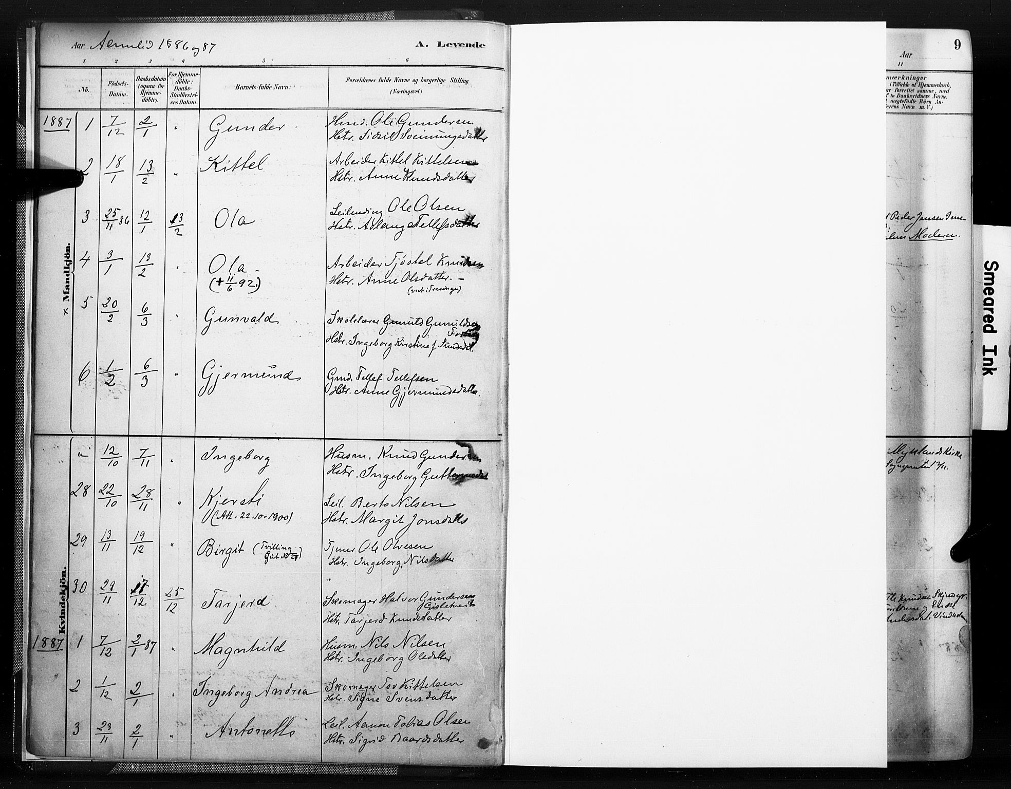 Åmli sokneprestkontor, SAK/1111-0050/F/Fa/Fac/L0010: Parish register (official) no. A 10 /1, 1885-1899, p. 9