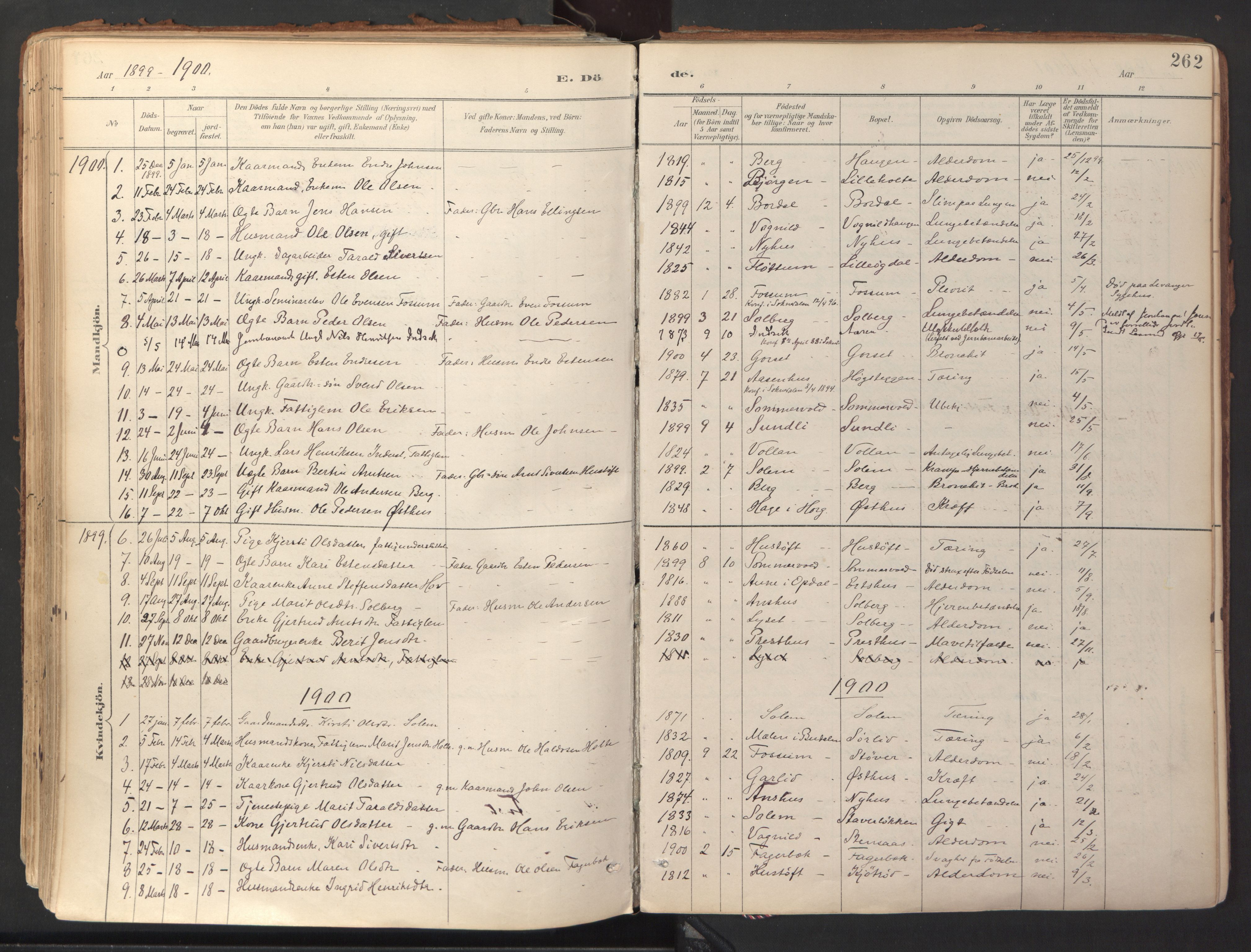 Ministerialprotokoller, klokkerbøker og fødselsregistre - Sør-Trøndelag, SAT/A-1456/689/L1041: Parish register (official) no. 689A06, 1891-1923, p. 262