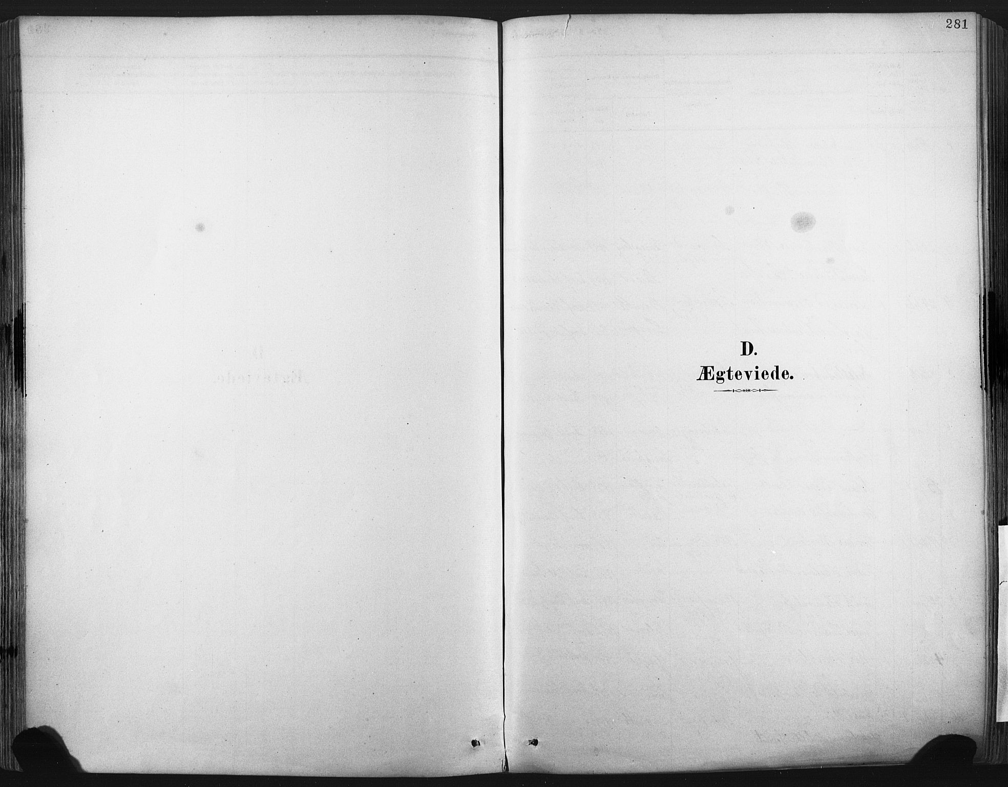 Porsgrunn kirkebøker , AV/SAKO-A-104/F/Fa/L0008: Parish register (official) no. 8, 1878-1895, p. 281