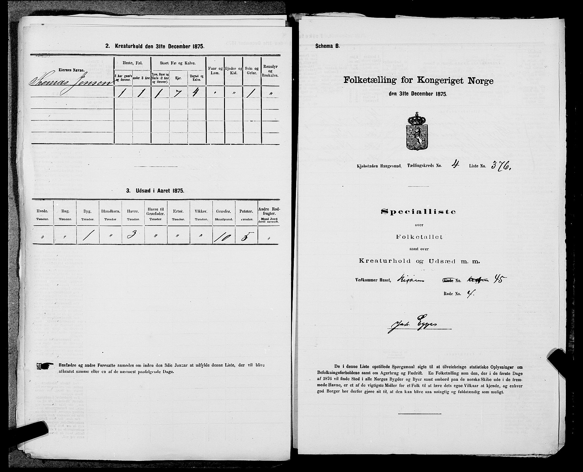 SAST, 1875 census for 1106B Torvastad/Haugesund, 1875, p. 840