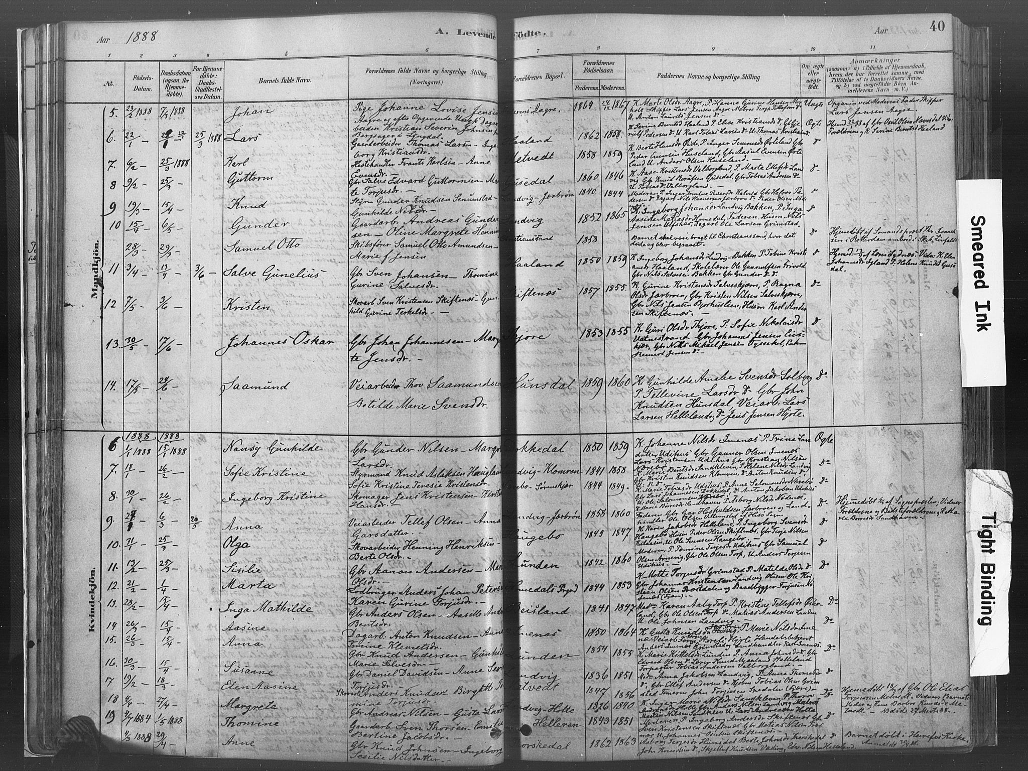 Hommedal sokneprestkontor, SAK/1111-0023/F/Fa/Fab/L0006: Parish register (official) no. A 6, 1878-1897, p. 40