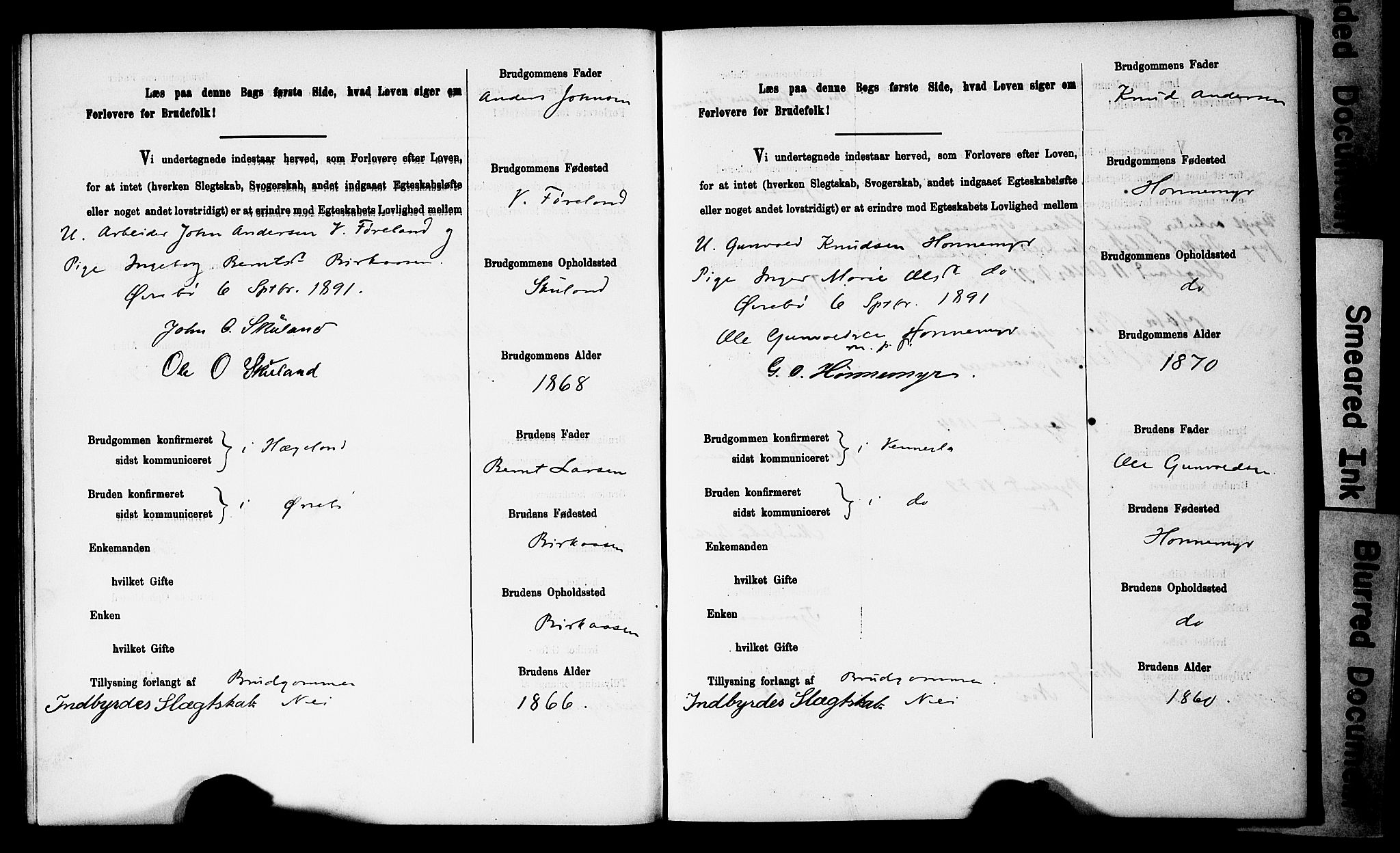 Vennesla sokneprestkontor, AV/SAK-1111-0045/J/L0032/0003: Banns register no. II 5 1, 1886-1892, p. 65