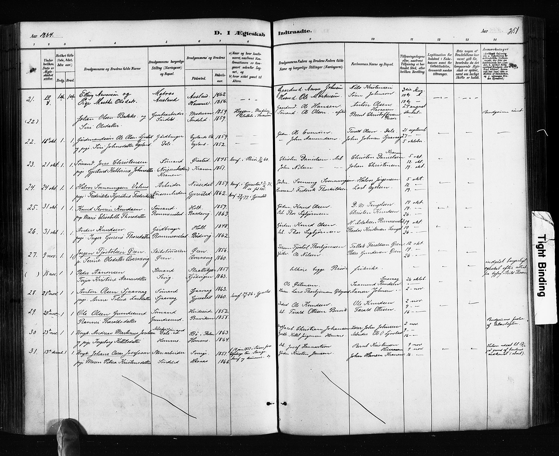 Søndeled sokneprestkontor, AV/SAK-1111-0038/F/Fa/L0004: Parish register (official) no. A 4, 1880-1889, p. 251