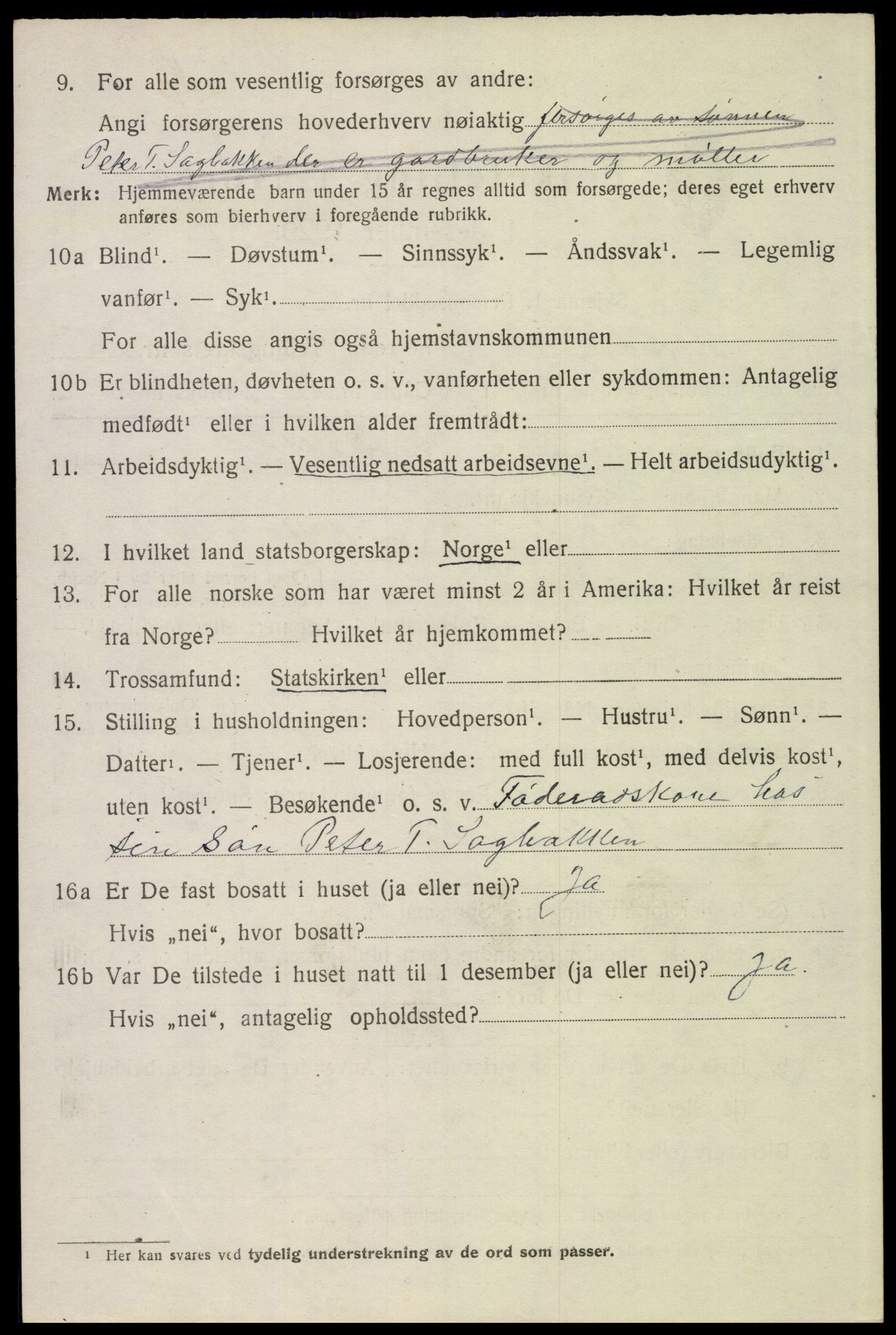 SAH, 1920 census for Trysil, 1920, p. 15696