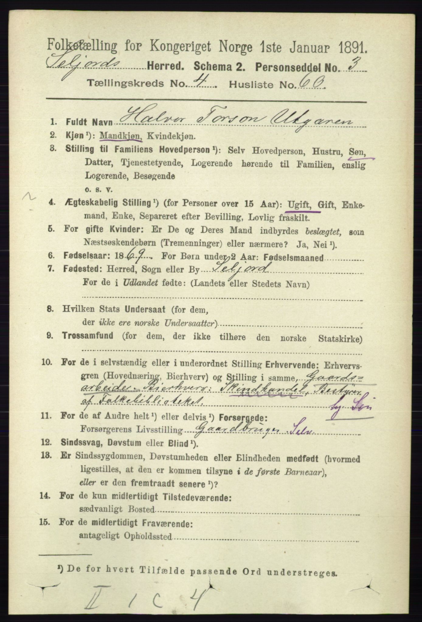 RA, 1891 census for 0828 Seljord, 1891, p. 1653