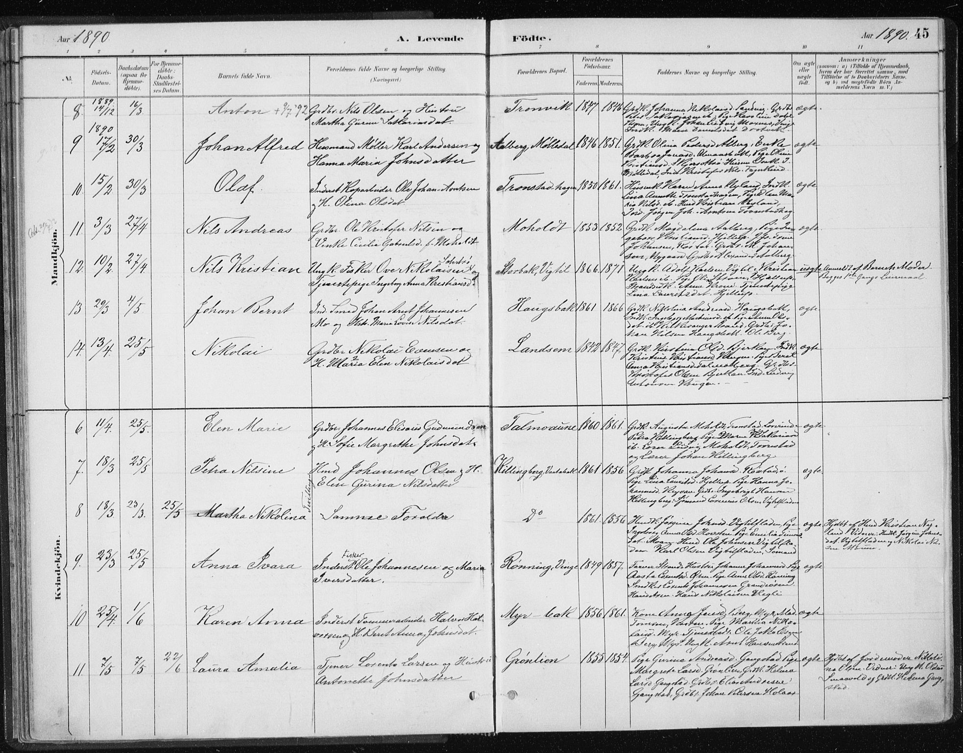 Ministerialprotokoller, klokkerbøker og fødselsregistre - Nord-Trøndelag, SAT/A-1458/701/L0010: Parish register (official) no. 701A10, 1883-1899, p. 45