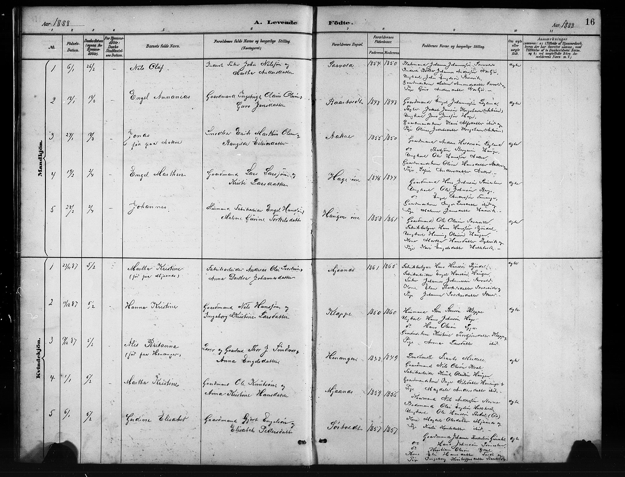 Fusa sokneprestembete, SAB/A-75401/H/Hab: Parish register (copy) no. C 2, 1886-1926, p. 16