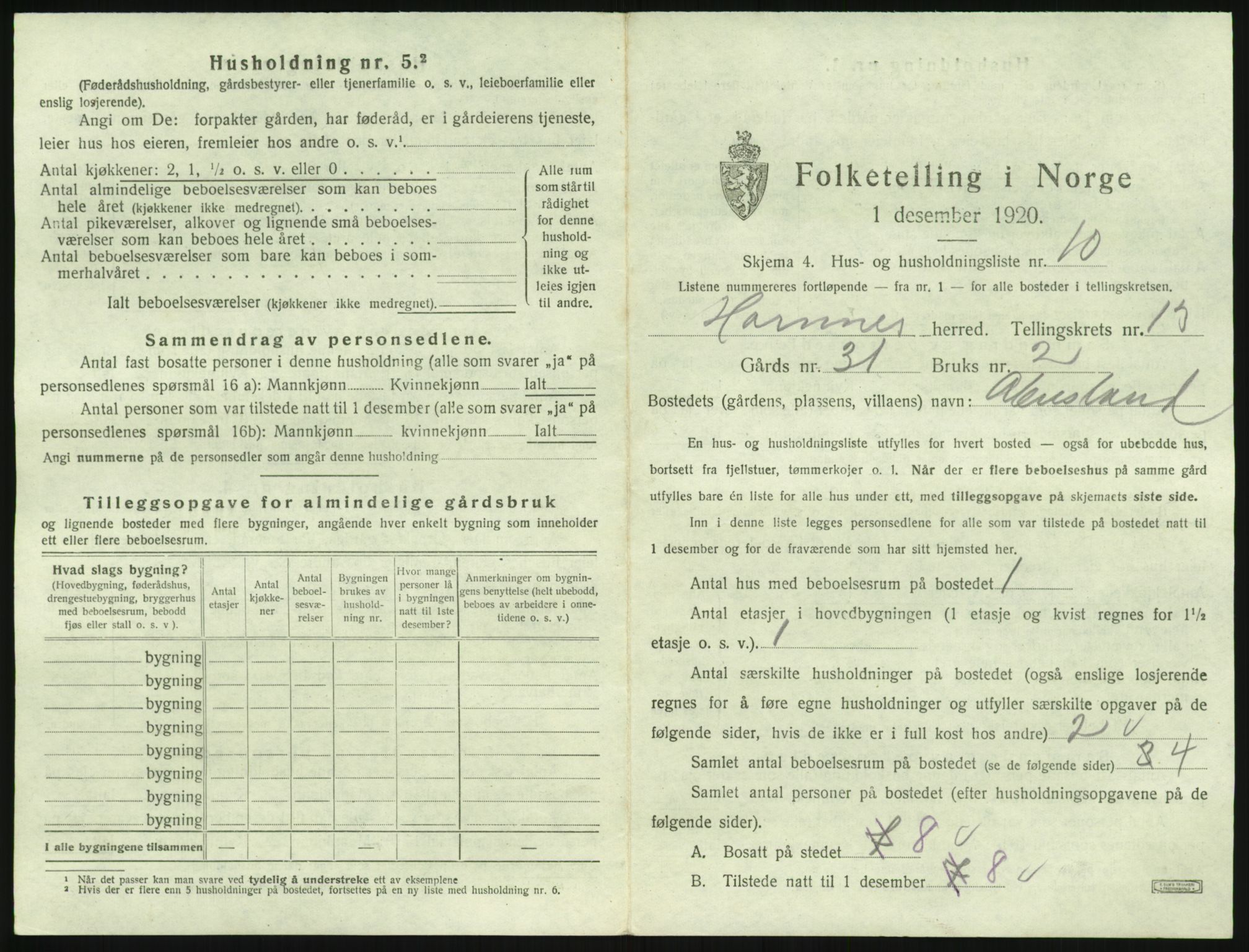 SAK, 1920 census for Hornnes, 1920, p. 523