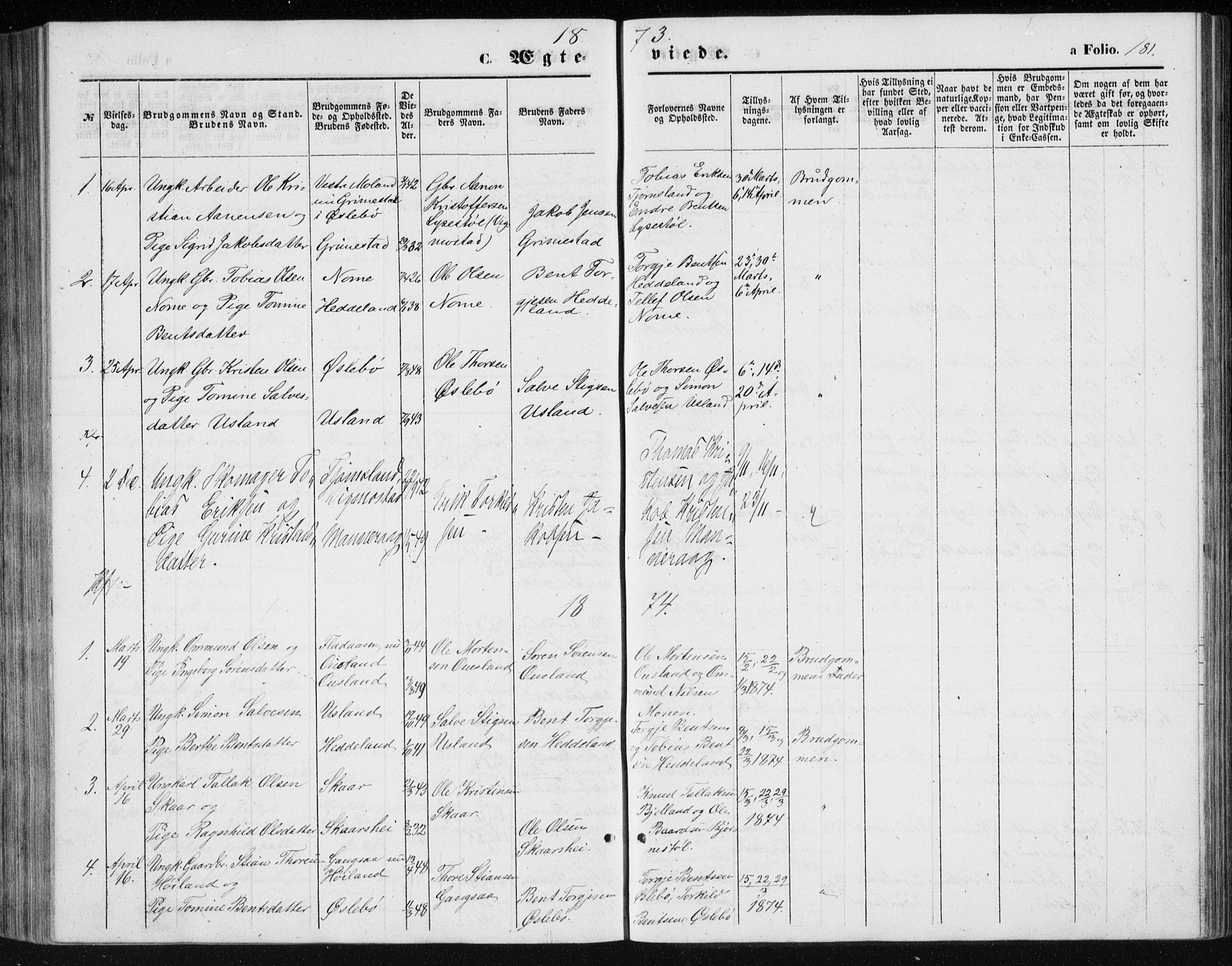 Holum sokneprestkontor, SAK/1111-0022/F/Fb/Fbc/L0002: Parish register (copy) no. B 2, 1860-1882, p. 181
