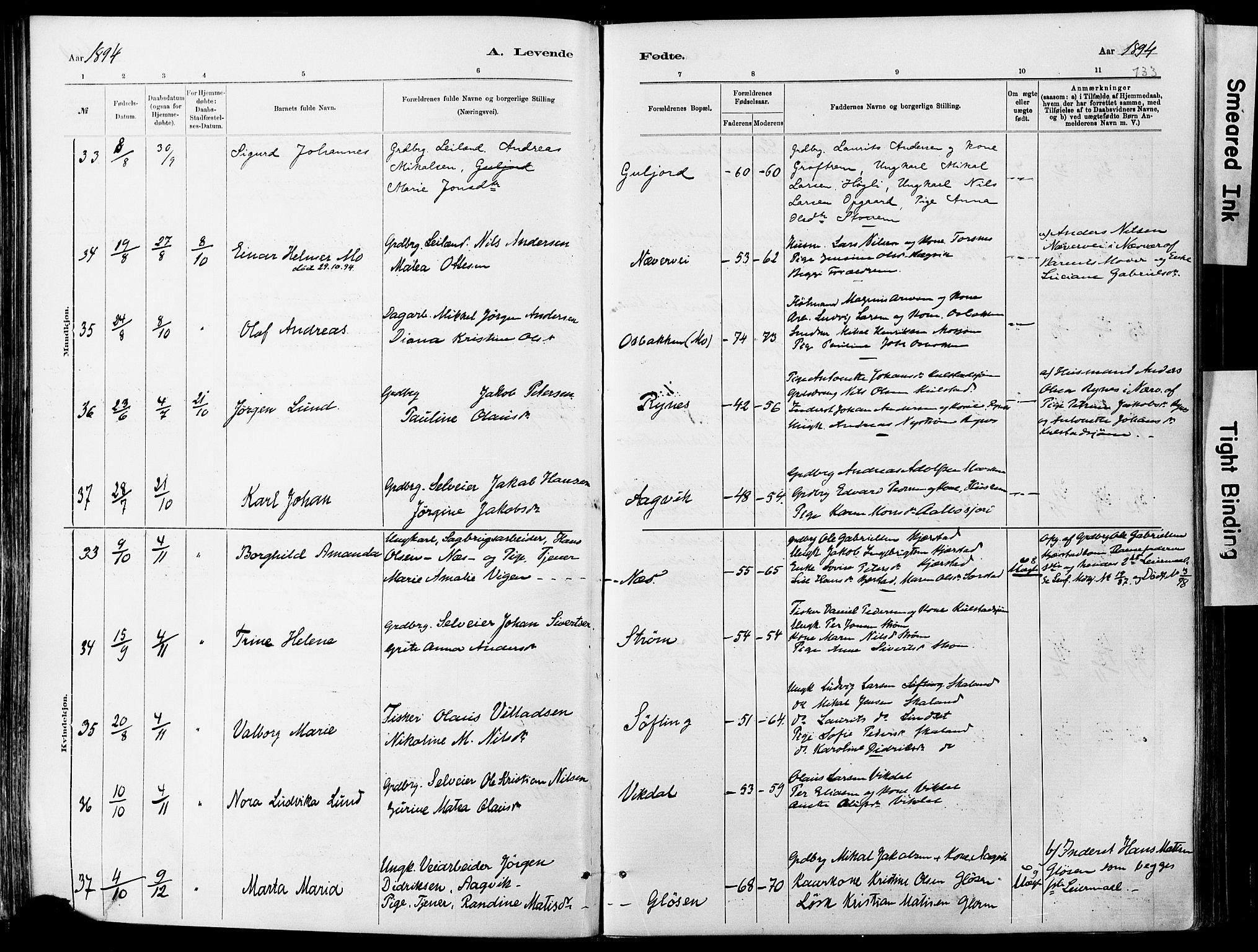 Ministerialprotokoller, klokkerbøker og fødselsregistre - Nordland, SAT/A-1459/820/L0295: Parish register (official) no. 820A16, 1880-1896, p. 133