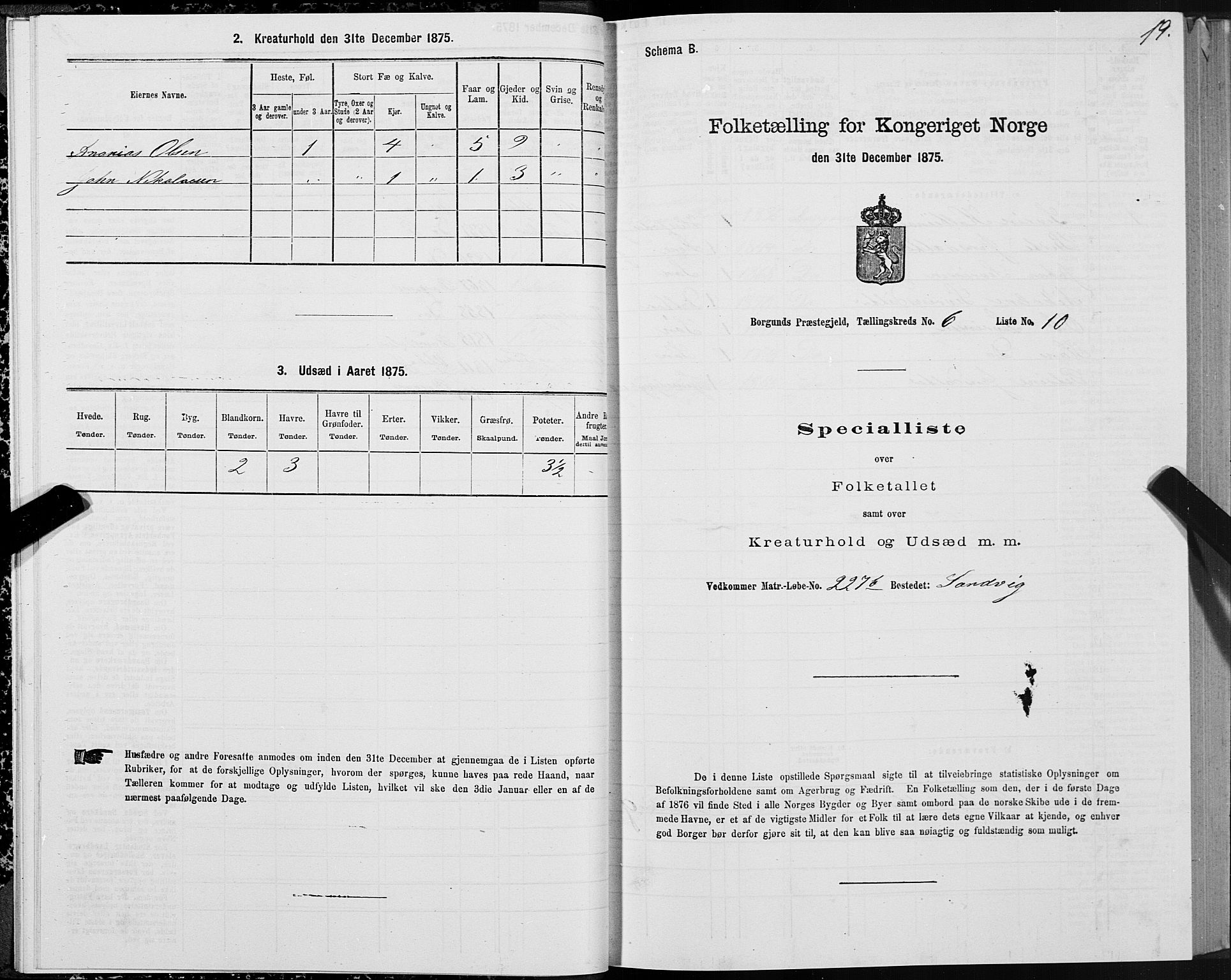 SAT, 1875 census for 1531P Borgund, 1875, p. 4019