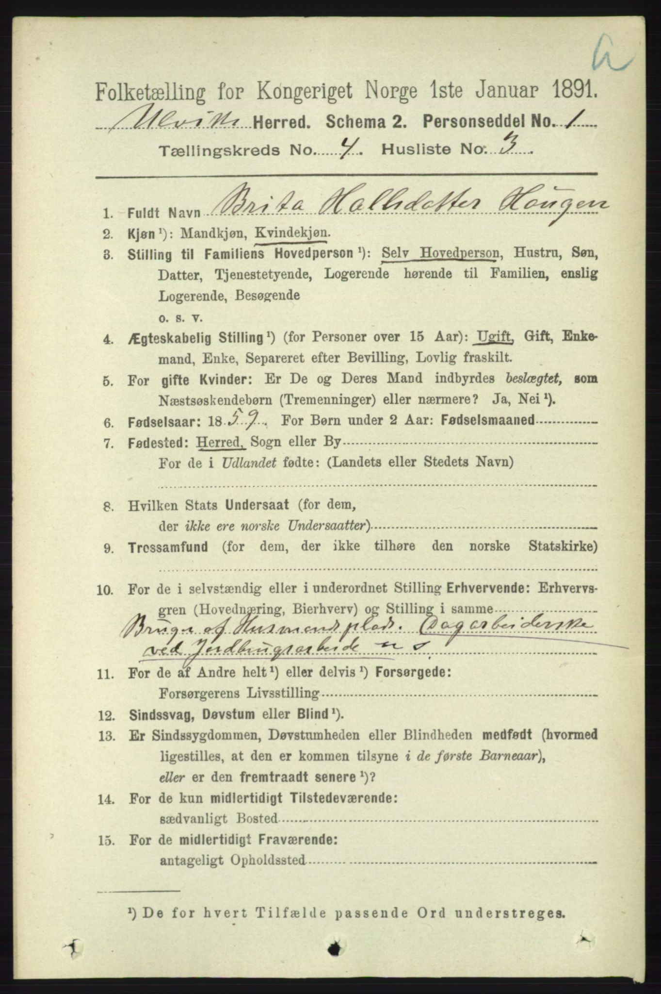 RA, 1891 census for 1233 Ulvik, 1891, p. 596