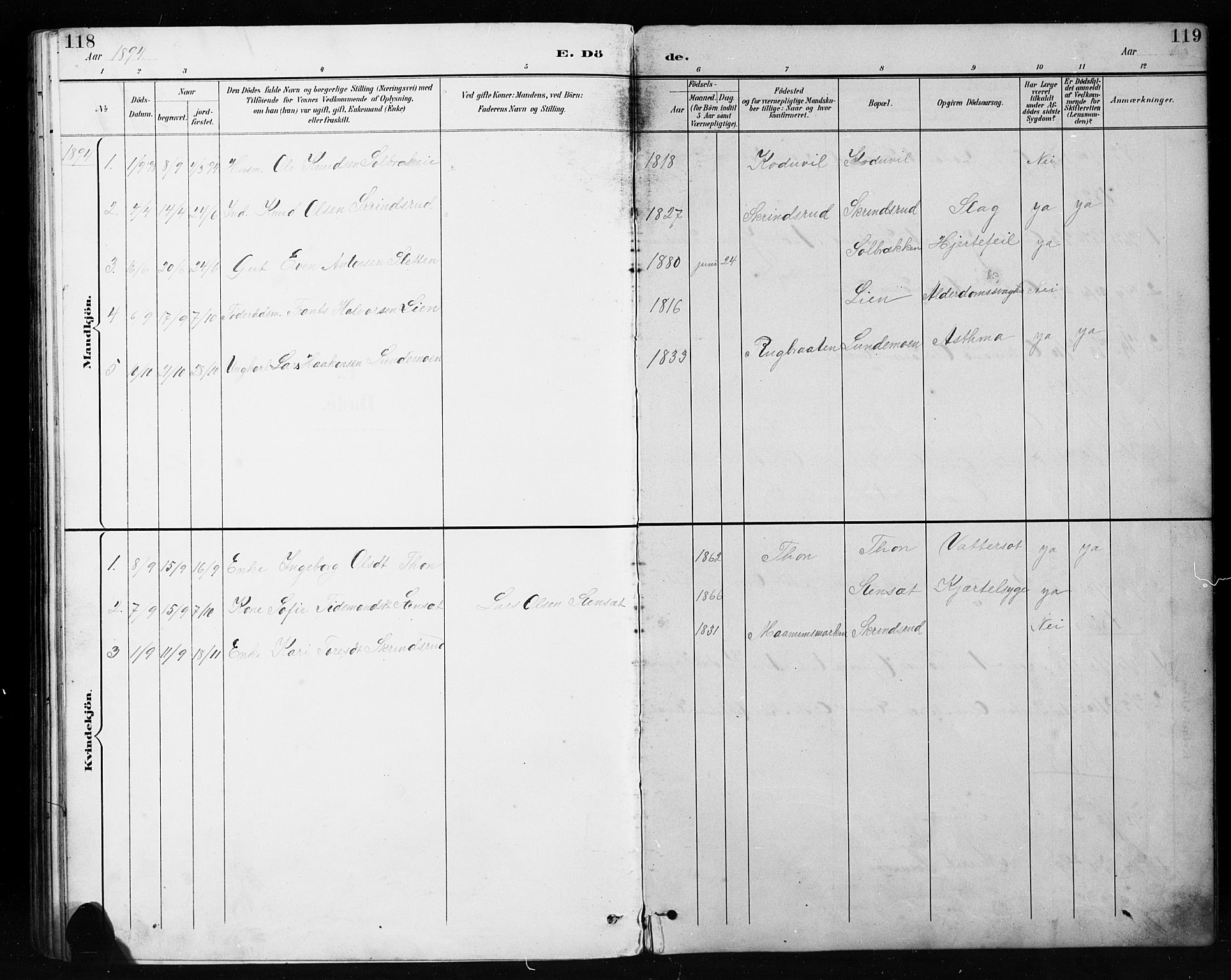 Etnedal prestekontor, SAH/PREST-130/H/Ha/Hab/Habb/L0001: Parish register (copy) no. II 1, 1894-1911, p. 118-119