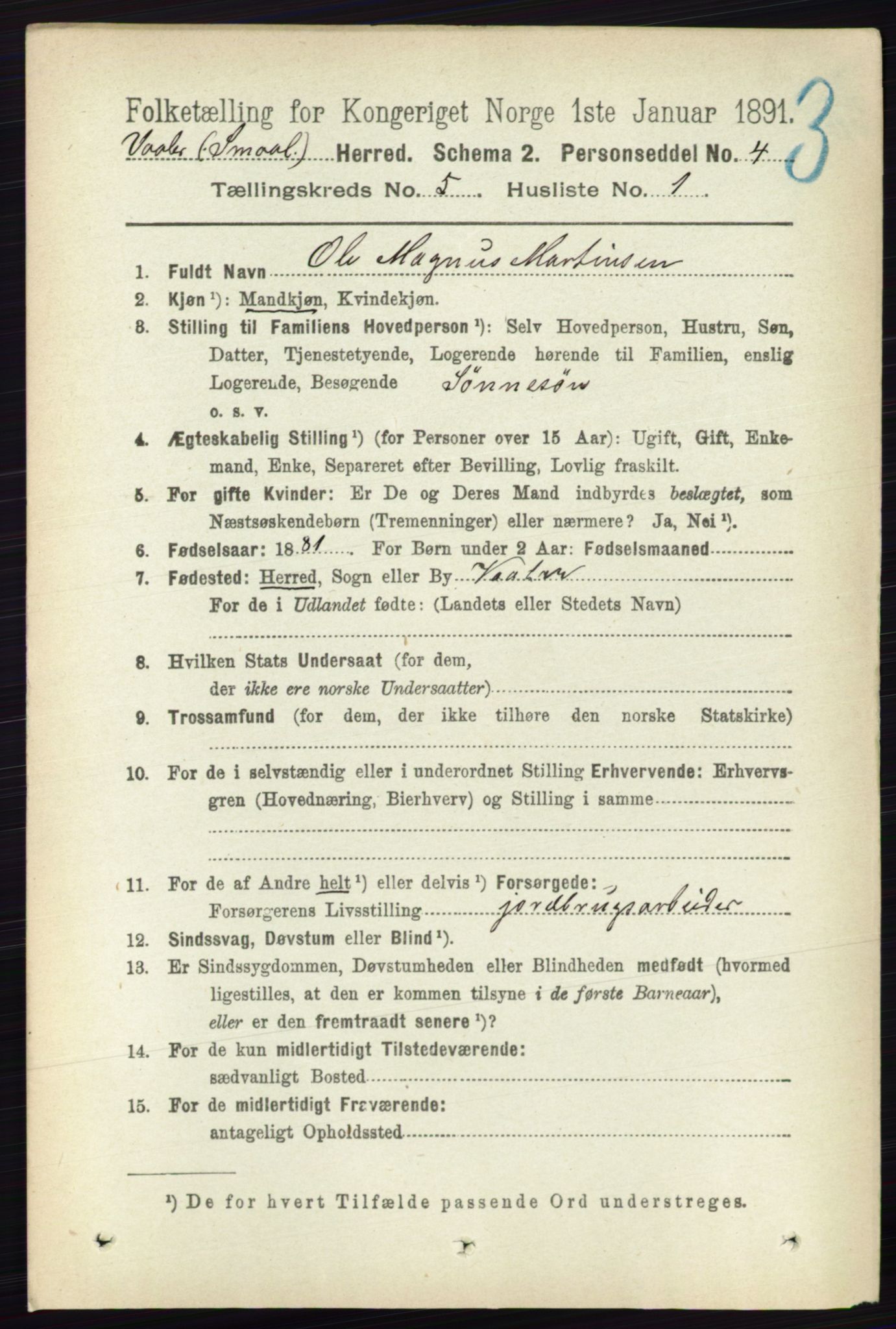 RA, 1891 census for 0137 Våler, 1891, p. 1981