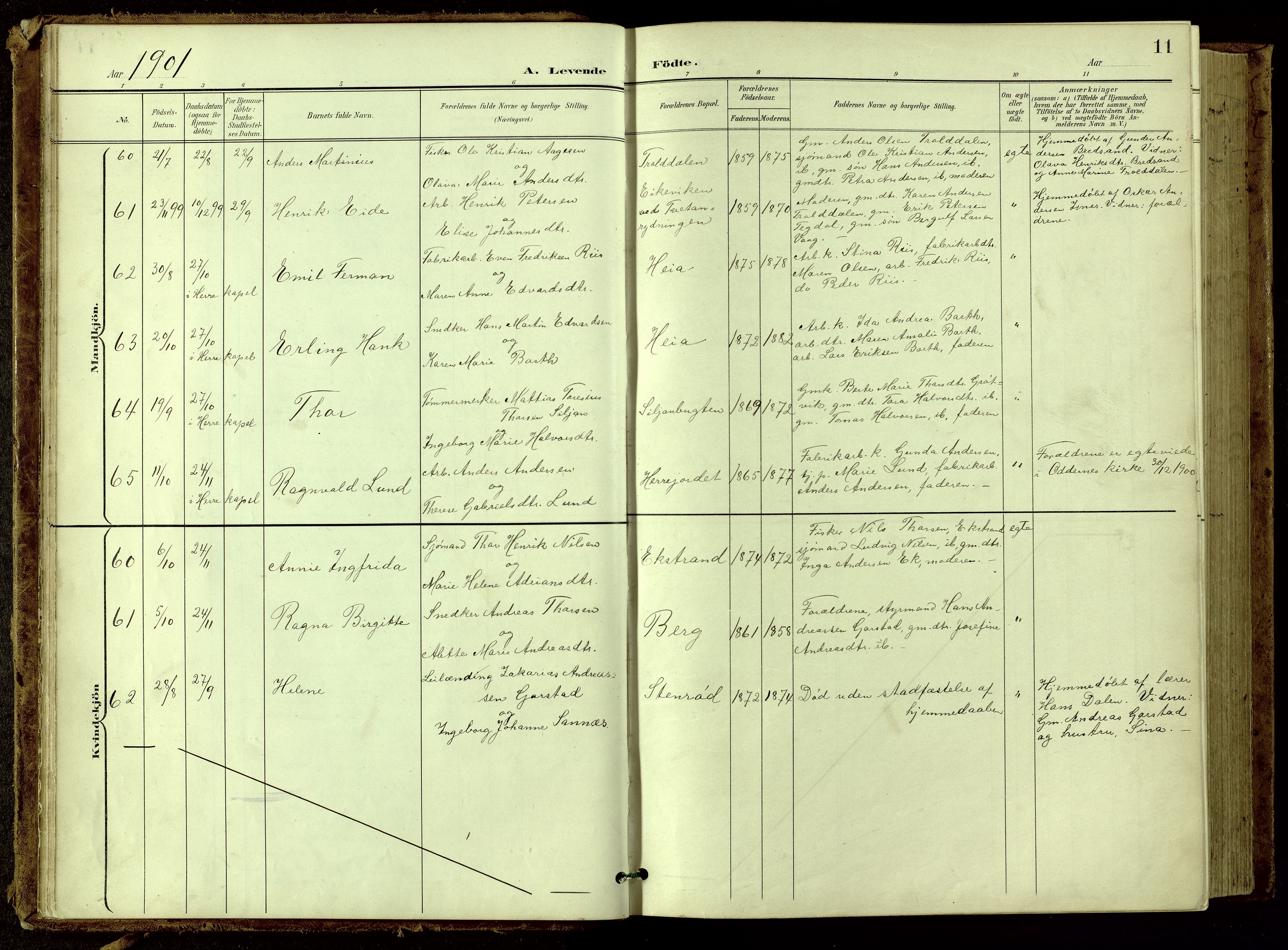 Bamble kirkebøker, AV/SAKO-A-253/G/Ga/L0010: Parish register (copy) no. I 10, 1901-1919, p. 11